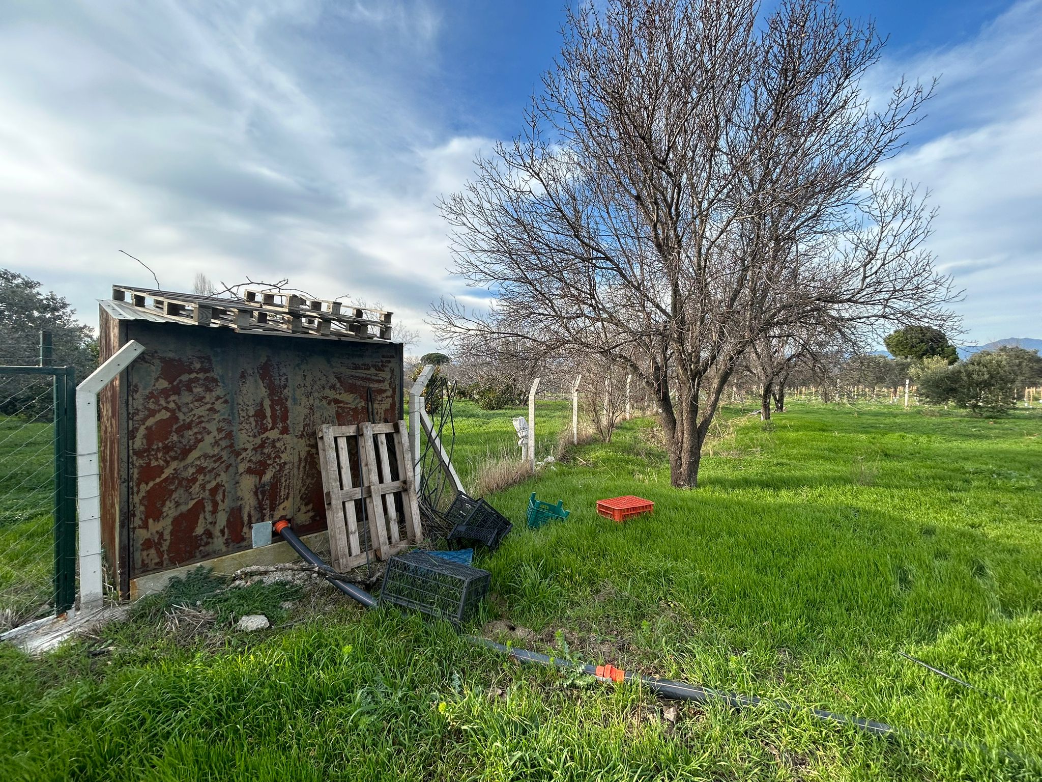 HAVRAN-TEKKE'DE Satılık 5 DÖNÜM FIRSAT MANDALİNLİK