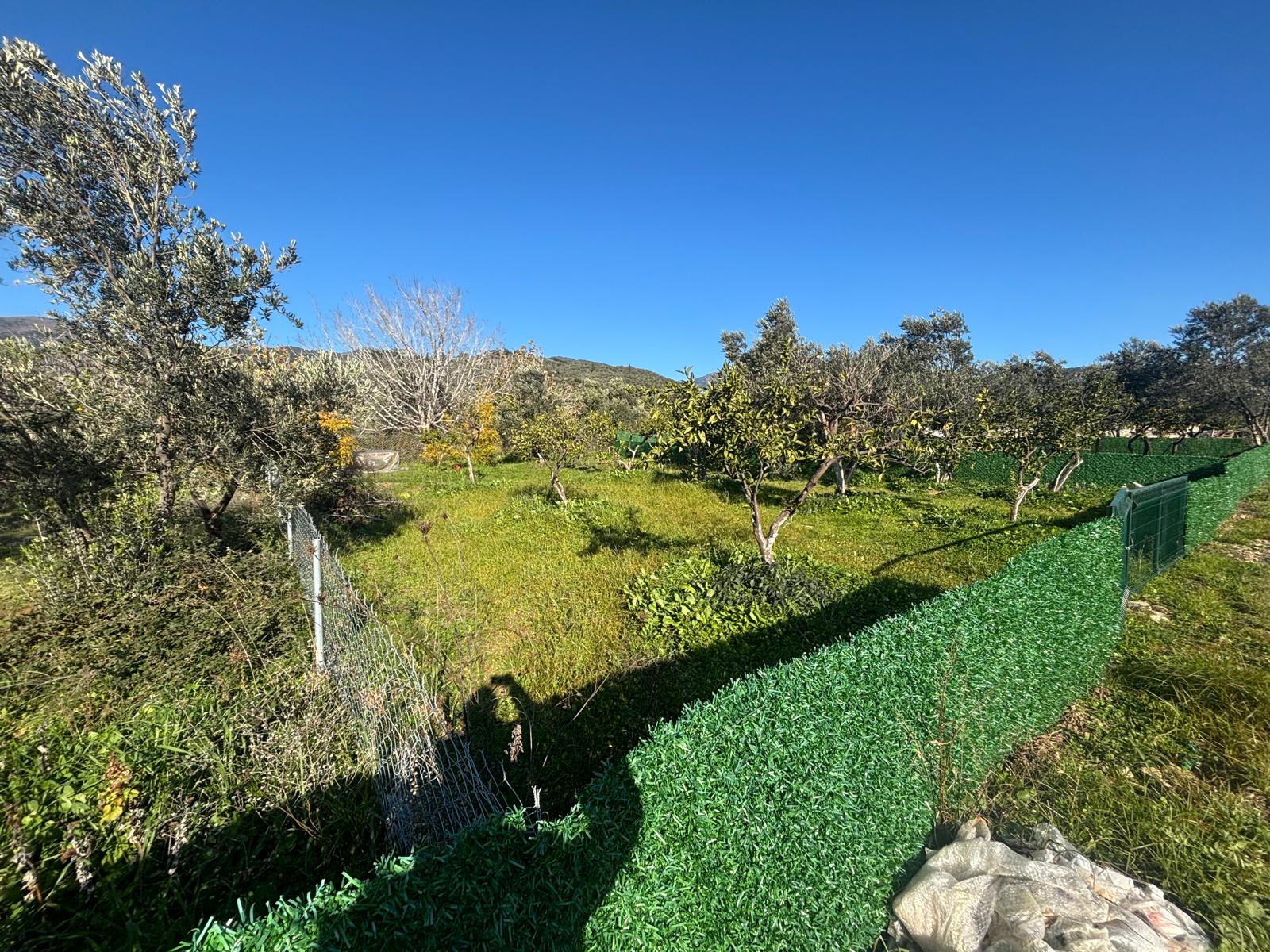 BALIKESİR EDREMİT KIZILKEÇİLİ’DE SATILIK 440 m² HOBİ BAHÇESİ