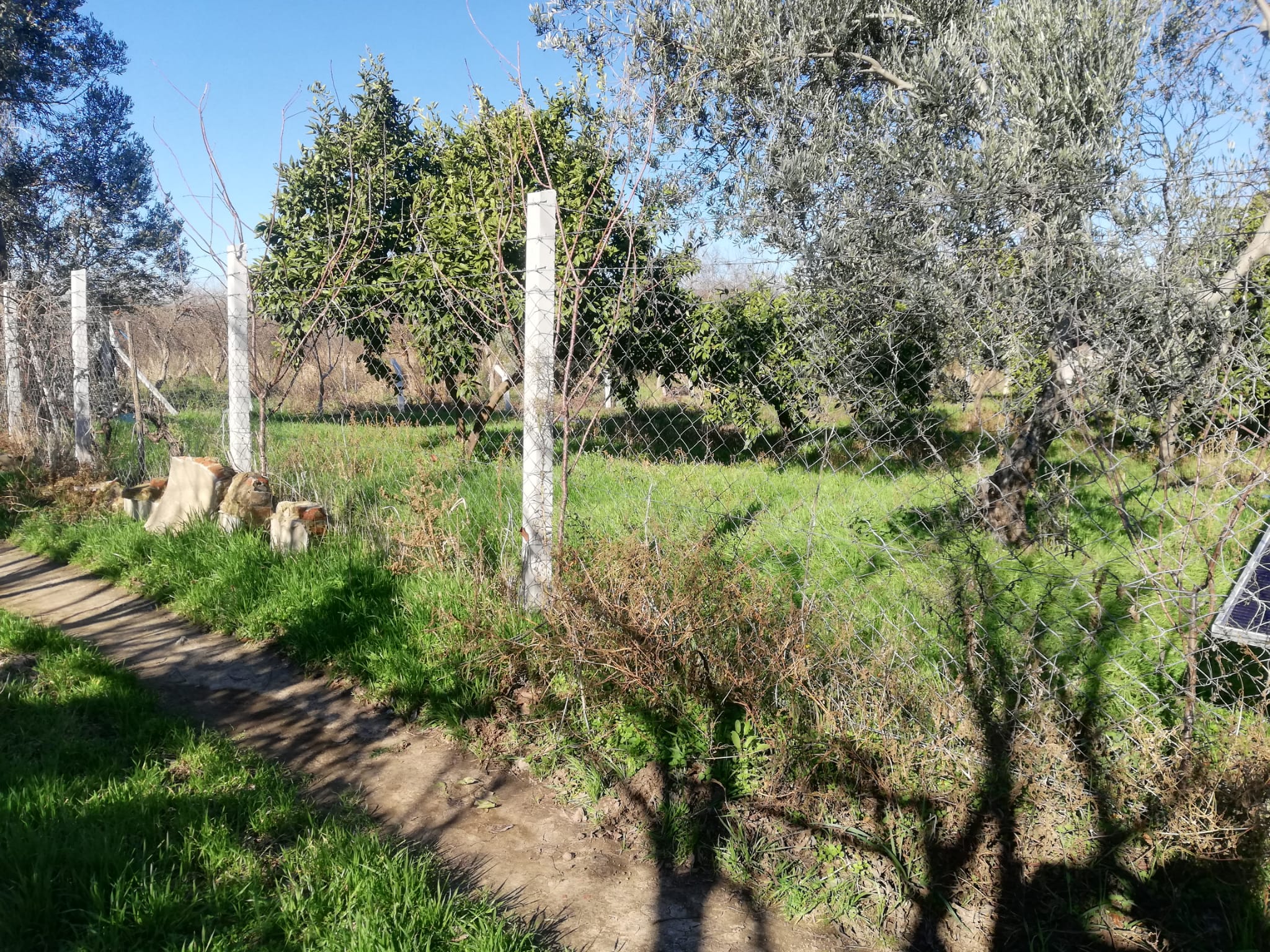 Tekke 'de 2 Dönümlük Hobi Bahçesi