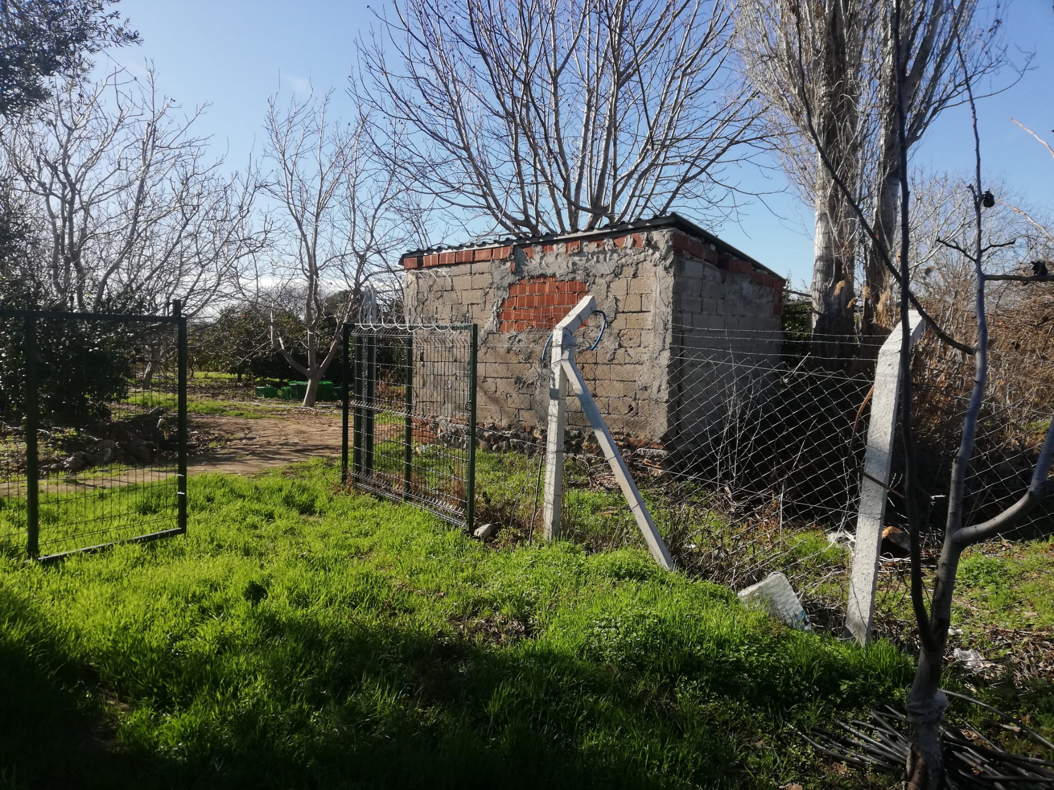 Tekke 'de 2 Dönümlük Hobi Bahçesi