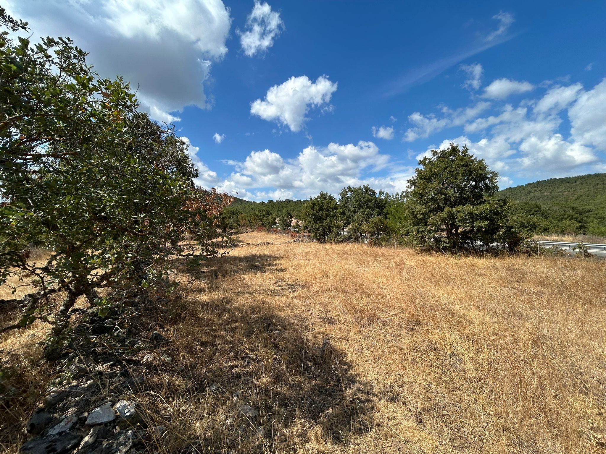 KÜÇÜKŞAPÇIDA SATILIK 3.3 DÖNÜM TARLA