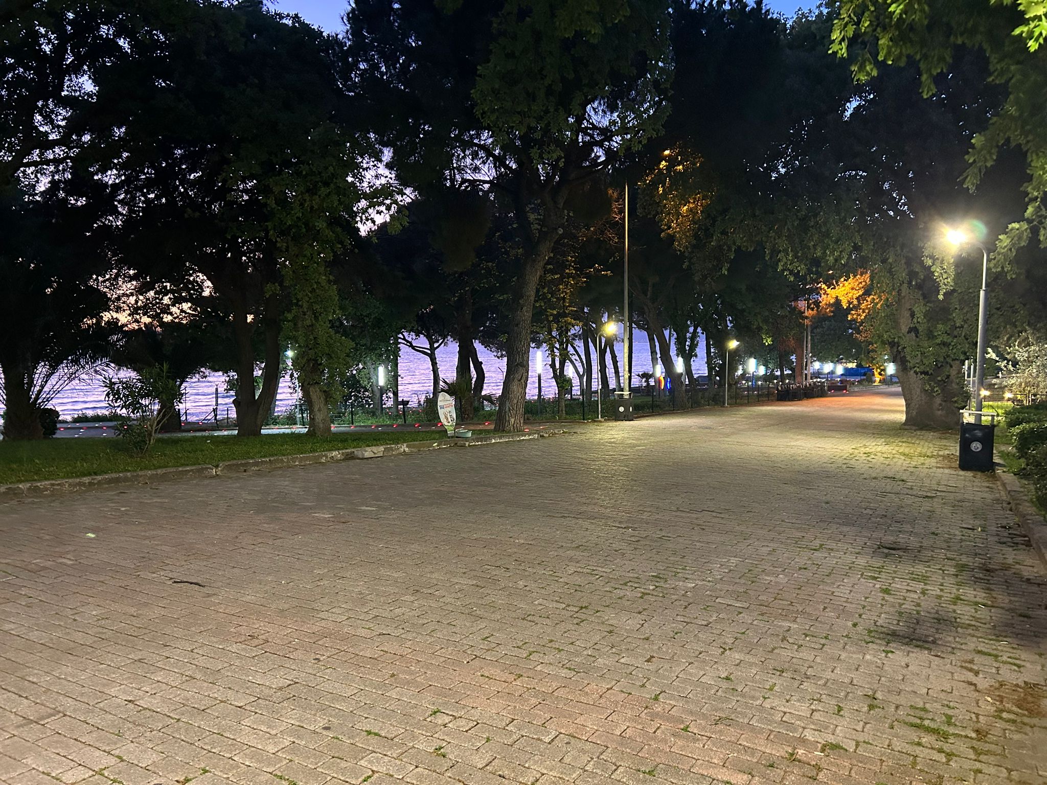 Burhaniye Ören Mahallesi’nde Doğa ve Deniz Manzaralı Satılık Villa Tipi Daire