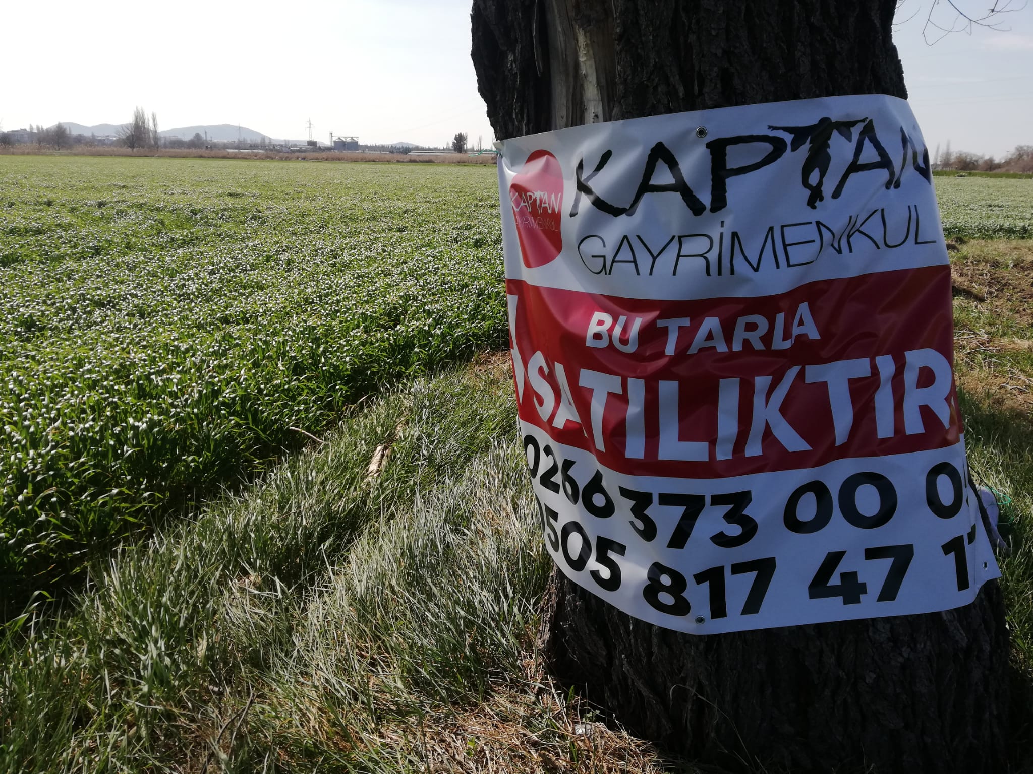 Geriş'te 15 Dönüm Satılık Tarla