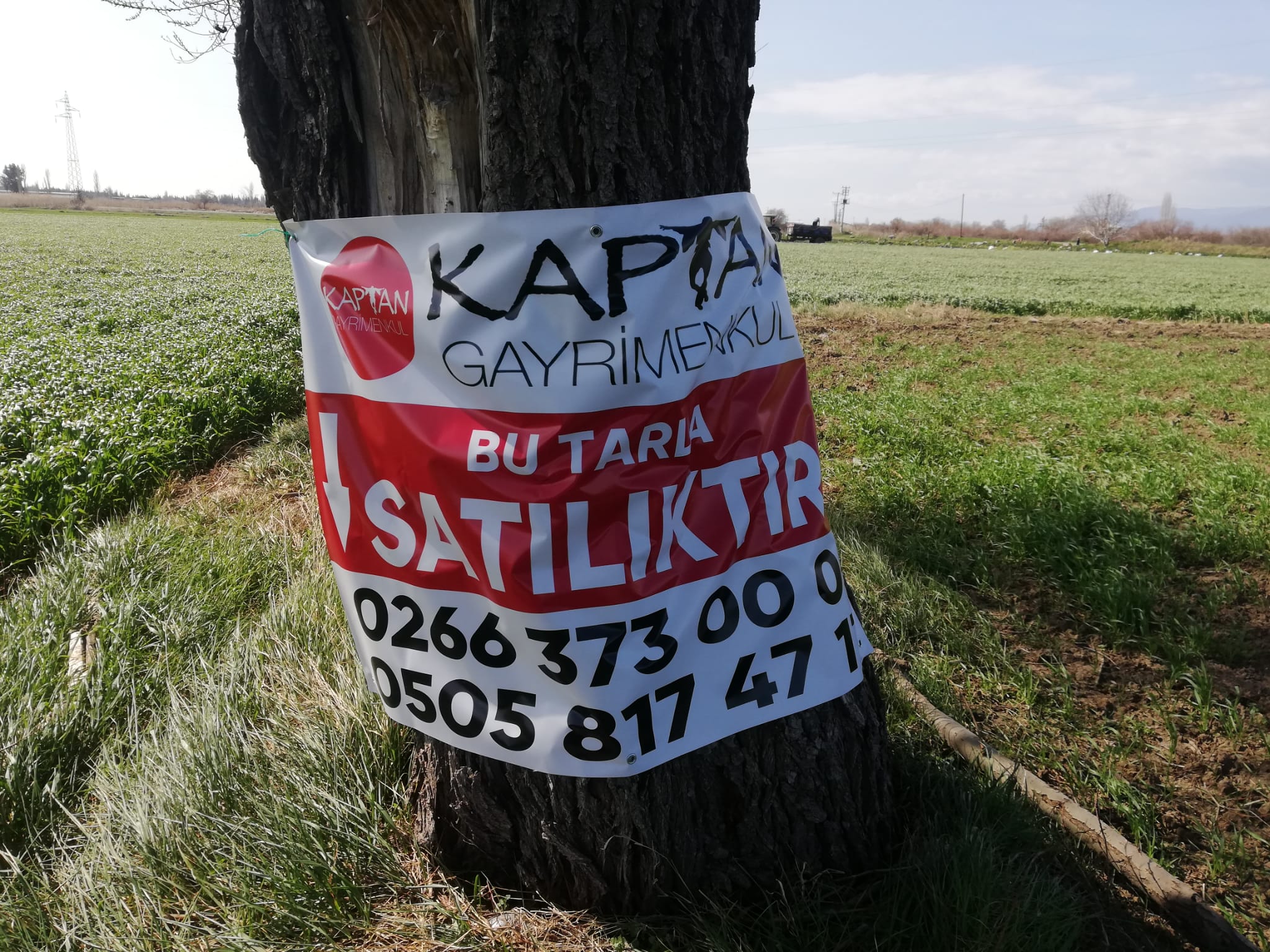 Geriş'te 15 Dönüm Satılık Tarla