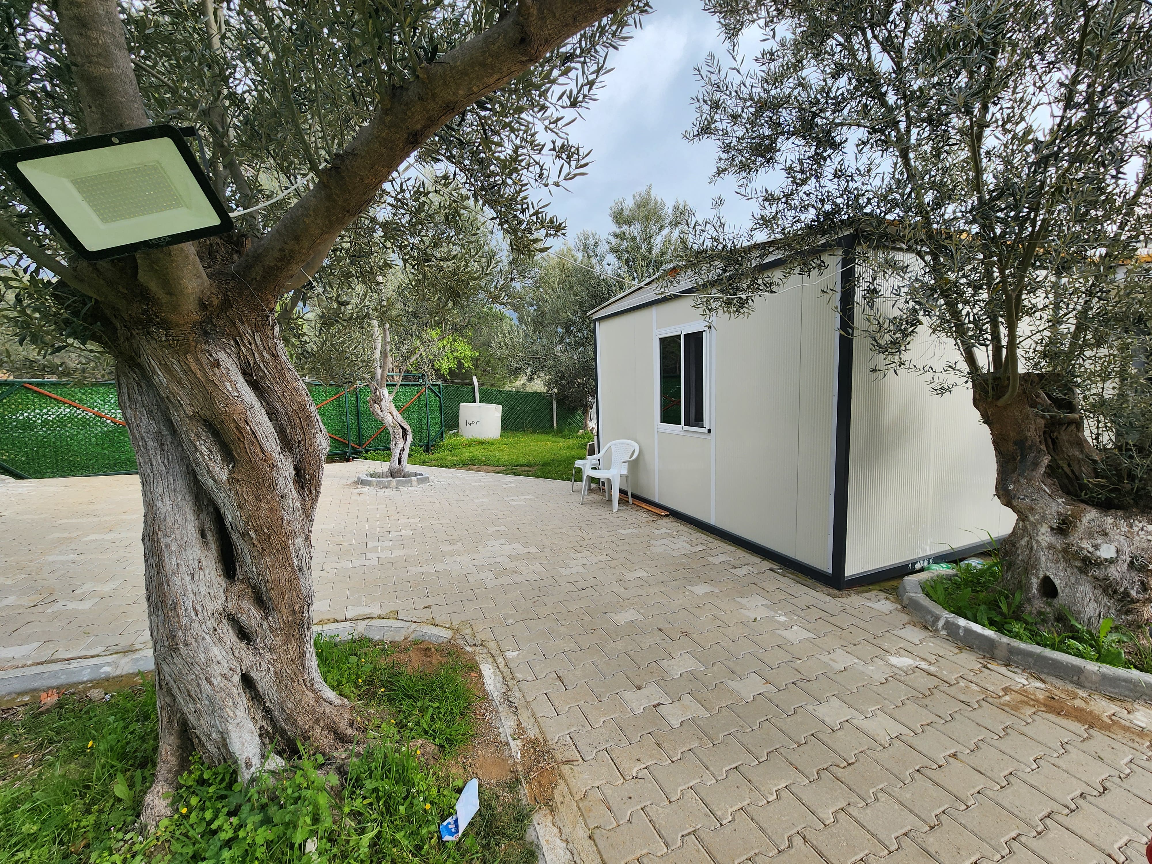 ZEYTİNLİ DE İÇİNDE EVİ OLAN SUYU VE ELEKTRİĞİ BULUNAN SATILIK ZEYTİNLİK