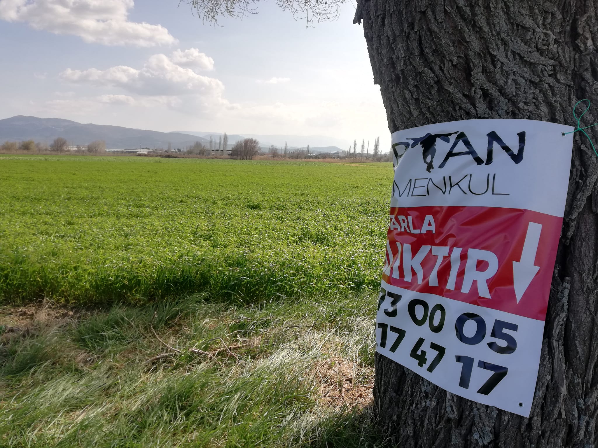 Geriş'te 15 Dönüm Satılık Tarla