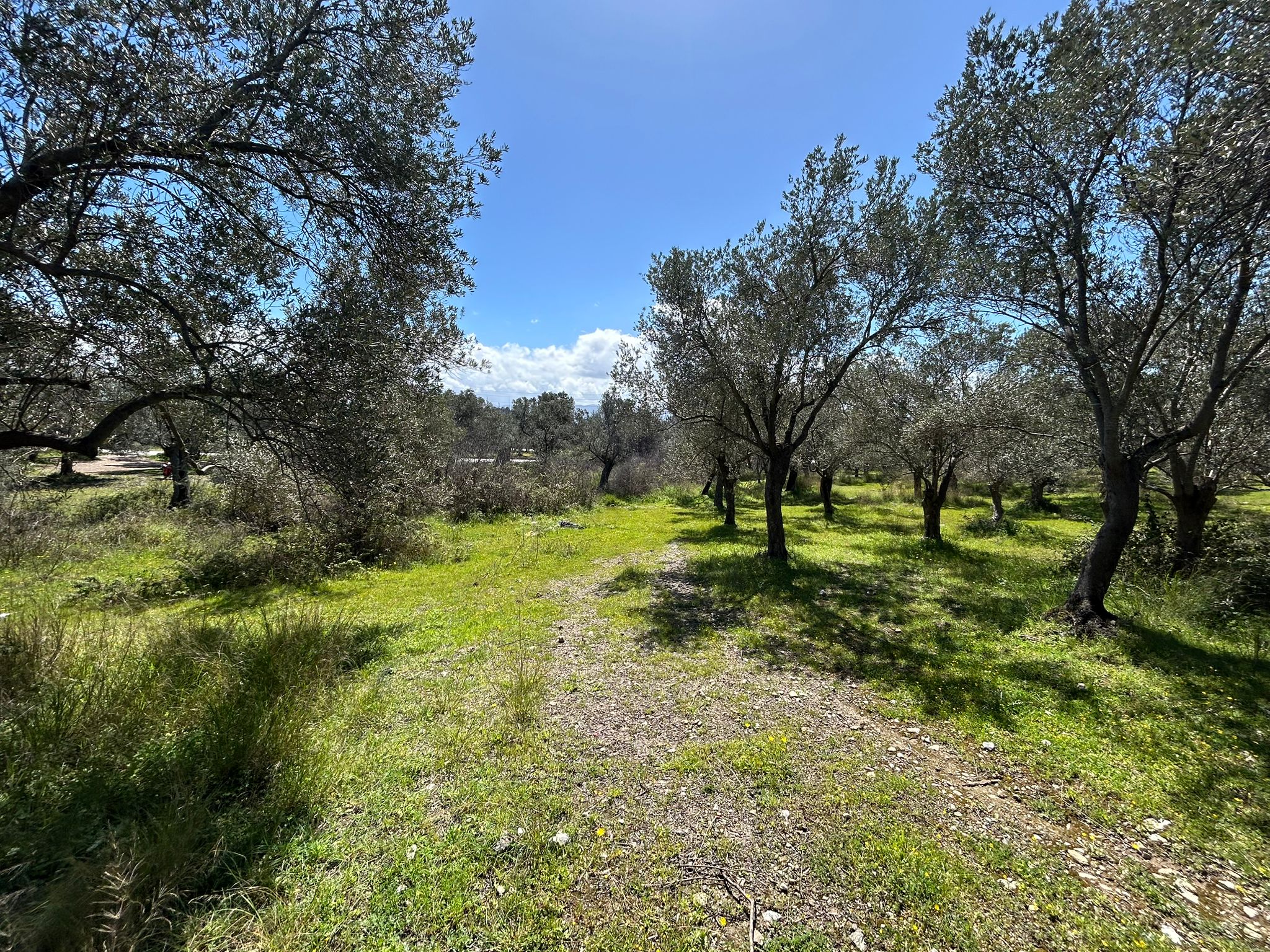 Doğa ile iç içe, yatırım değeri yüksek SATILIK ARSA