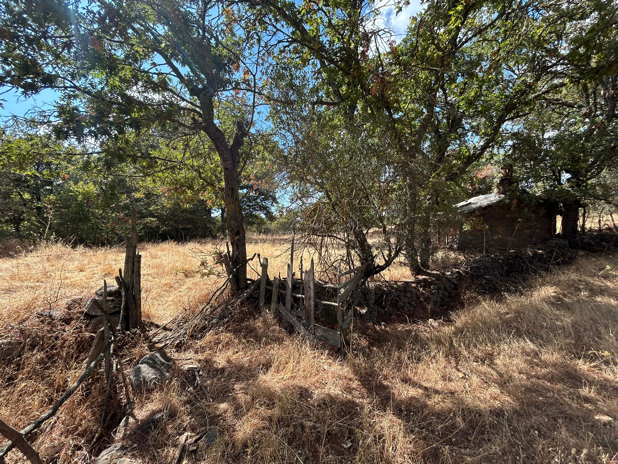 KÜÇÜKŞAPÇIDA SATILIK 3.3 DÖNÜM TARLA