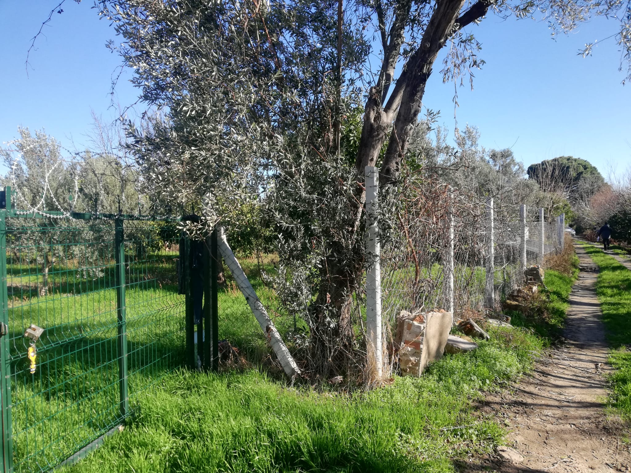 Tekke 'de 2 Dönümlük Hobi Bahçesi