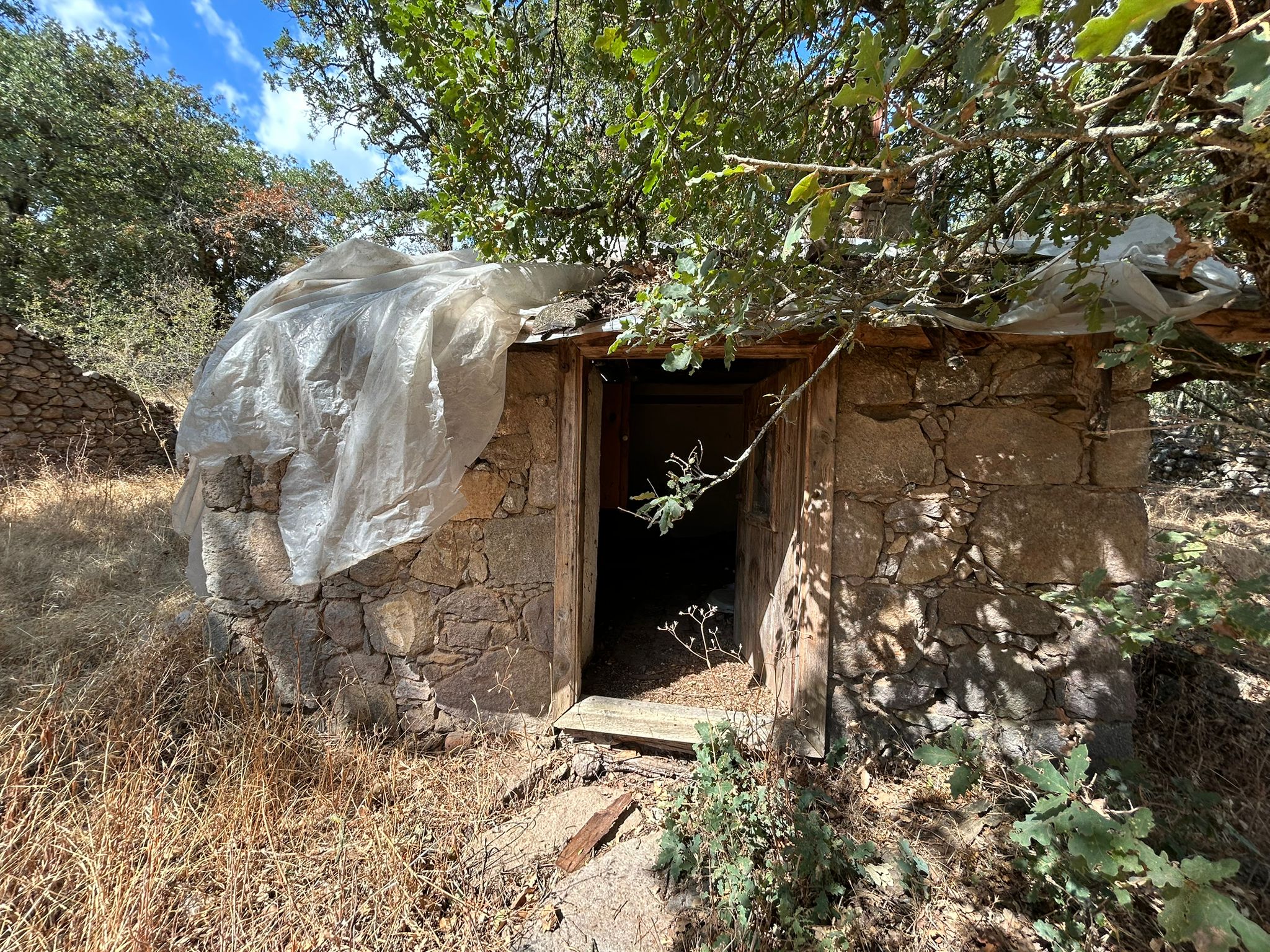 KÜÇÜKŞAPÇIDA SATILIK 3.3 DÖNÜM TARLA