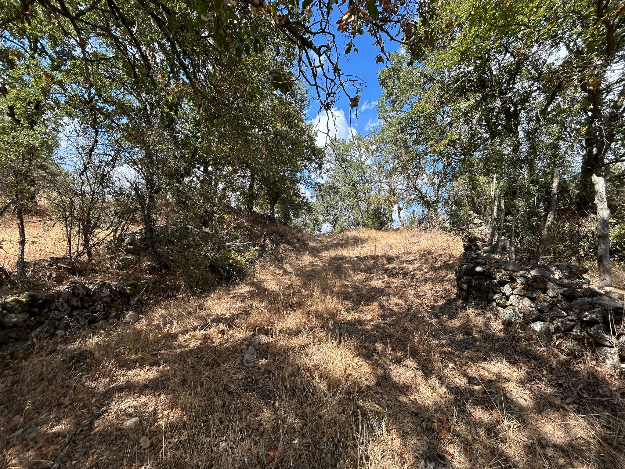 KÜÇÜKŞAPÇIDA SATILIK 3.3 DÖNÜM TARLA