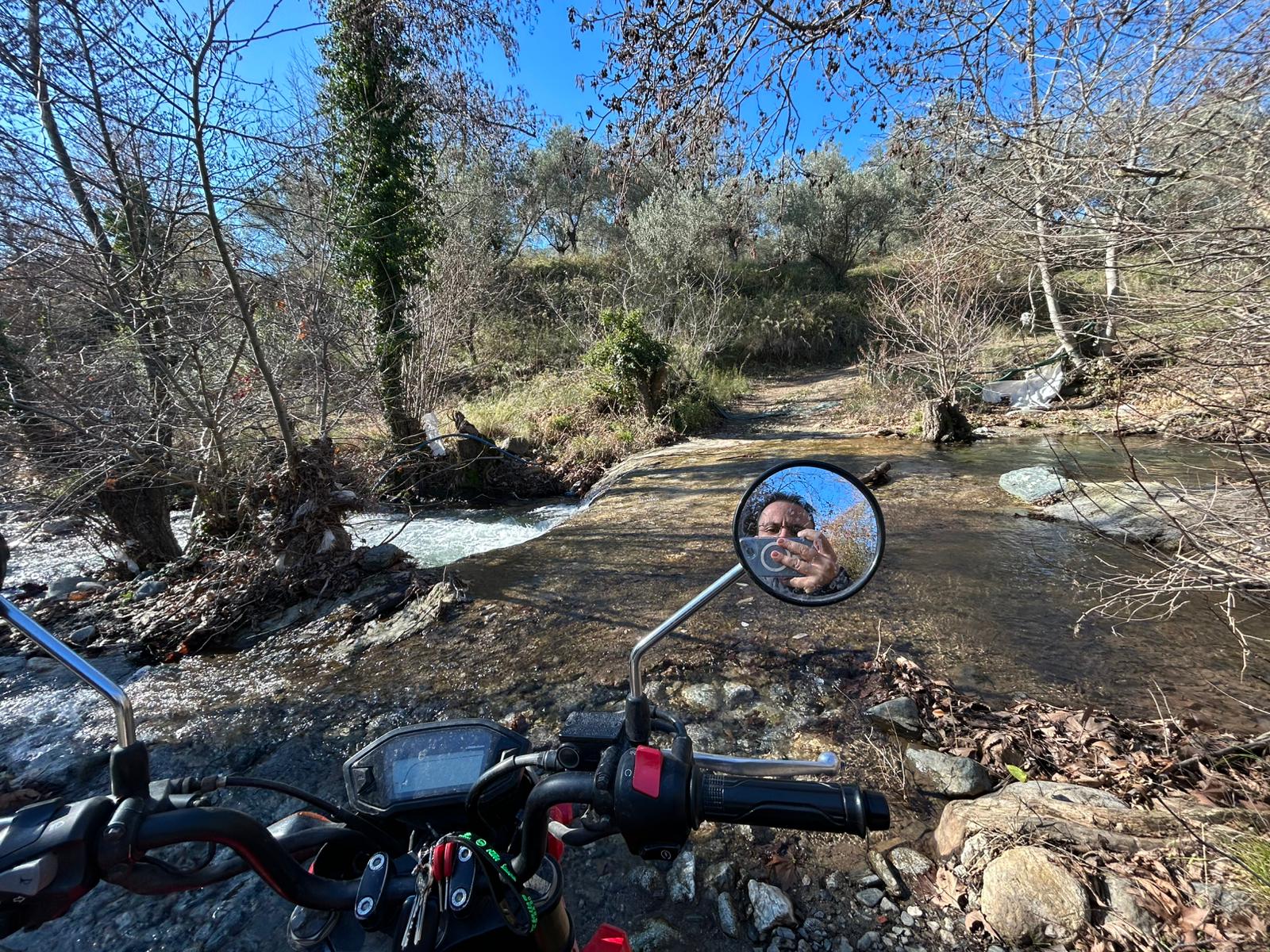 Dereli 'de Satılık 3659 M2 Müstakil Tapulu Zeytinlik