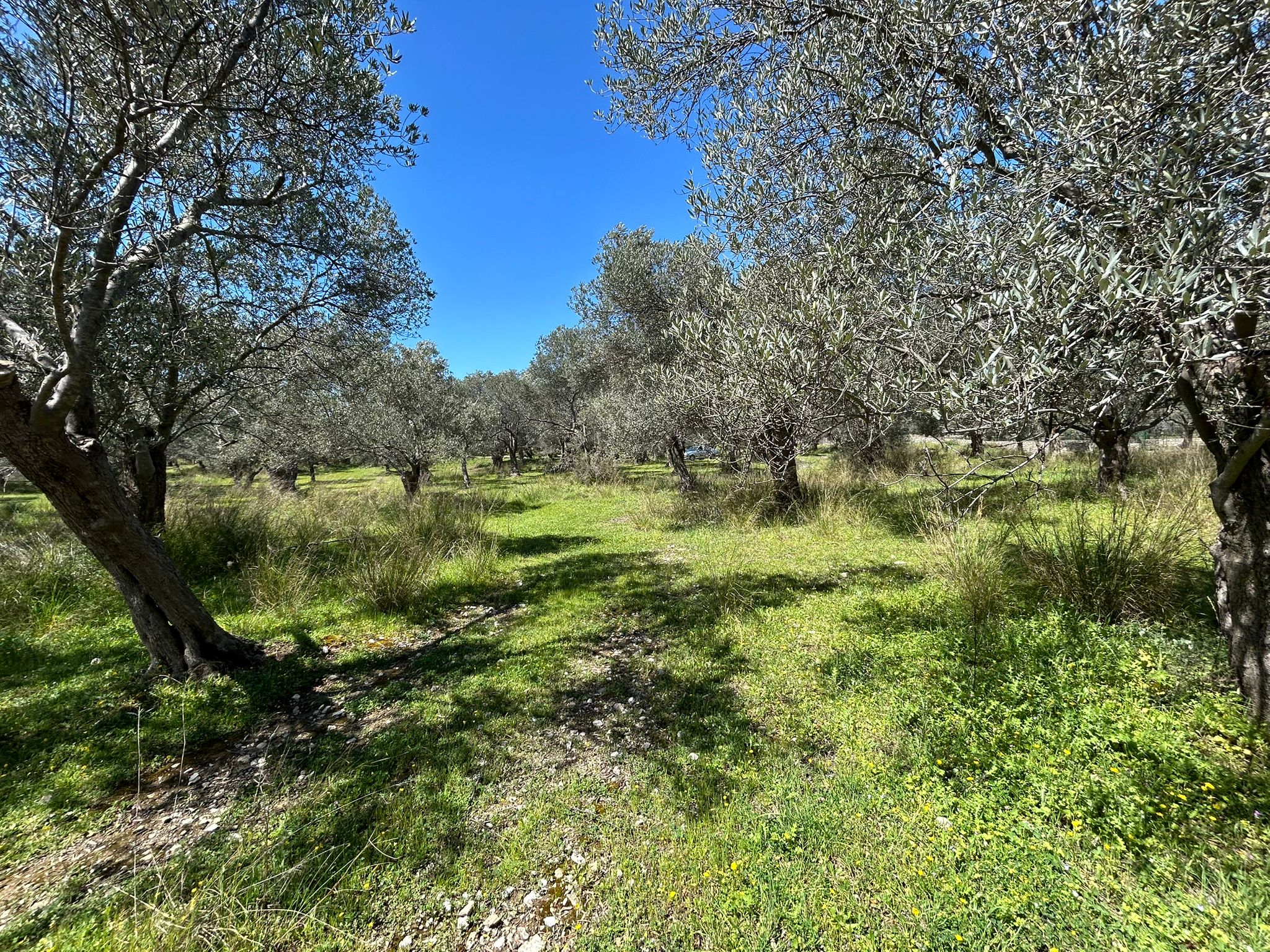 Doğa ile iç içe, yatırım değeri yüksek SATILIK ARSA
