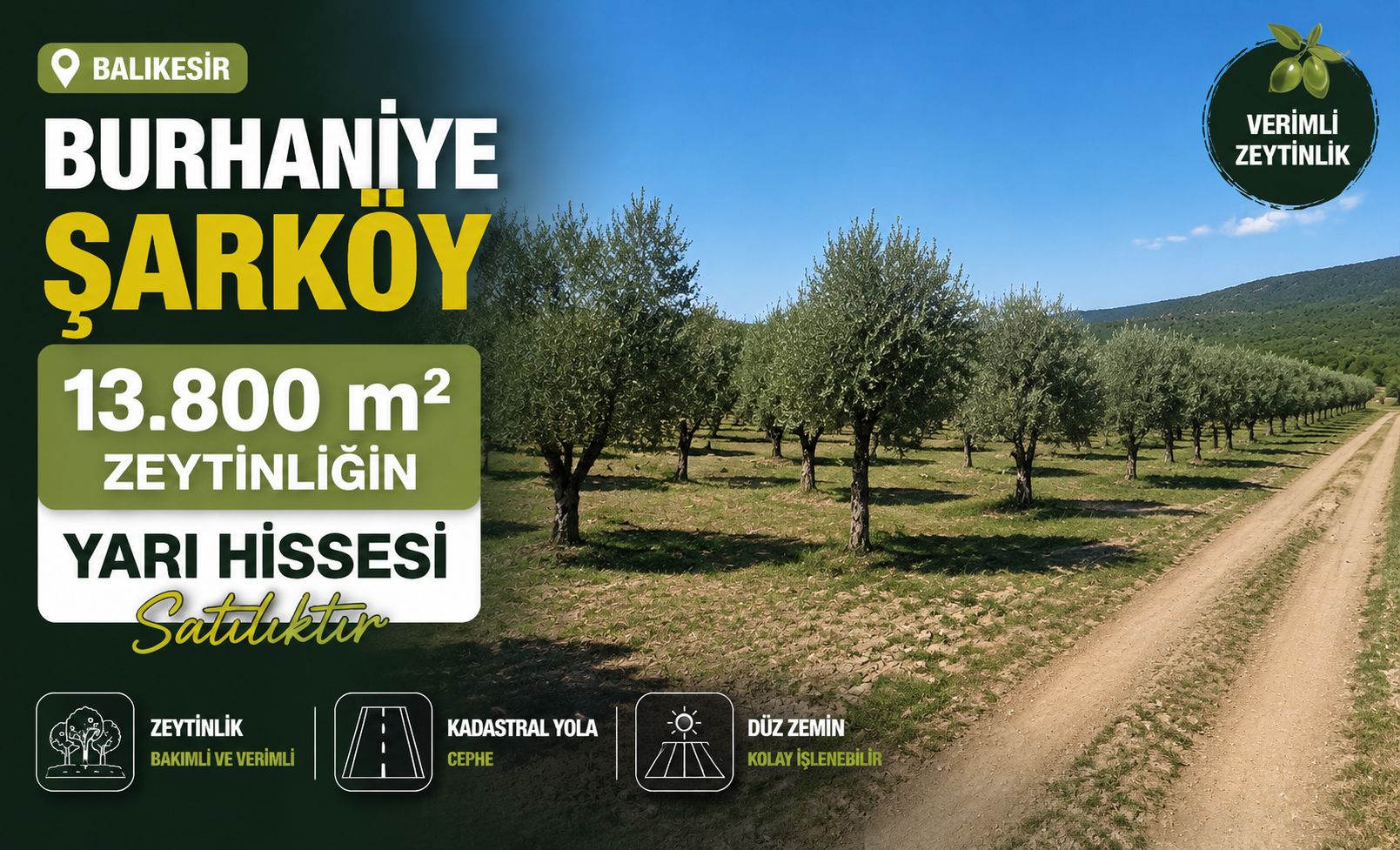 Balıkesir Burhaniye Şarköy’de Satılık Hisseli Zeytinlik – Kadastro Yola Cepheli