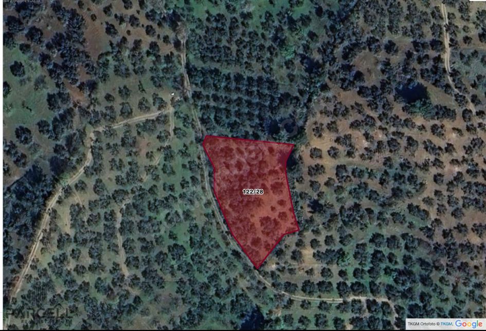 BALIKESİR EDREMİTİN EN GÖZDE KÖYÜNDE SATILIK 2 DÖNÜM ZEYTİNLİK