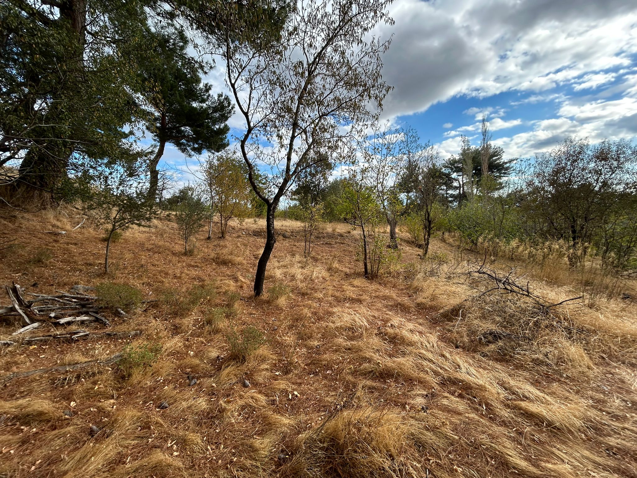 1 Dönüm Satılık Bahçe