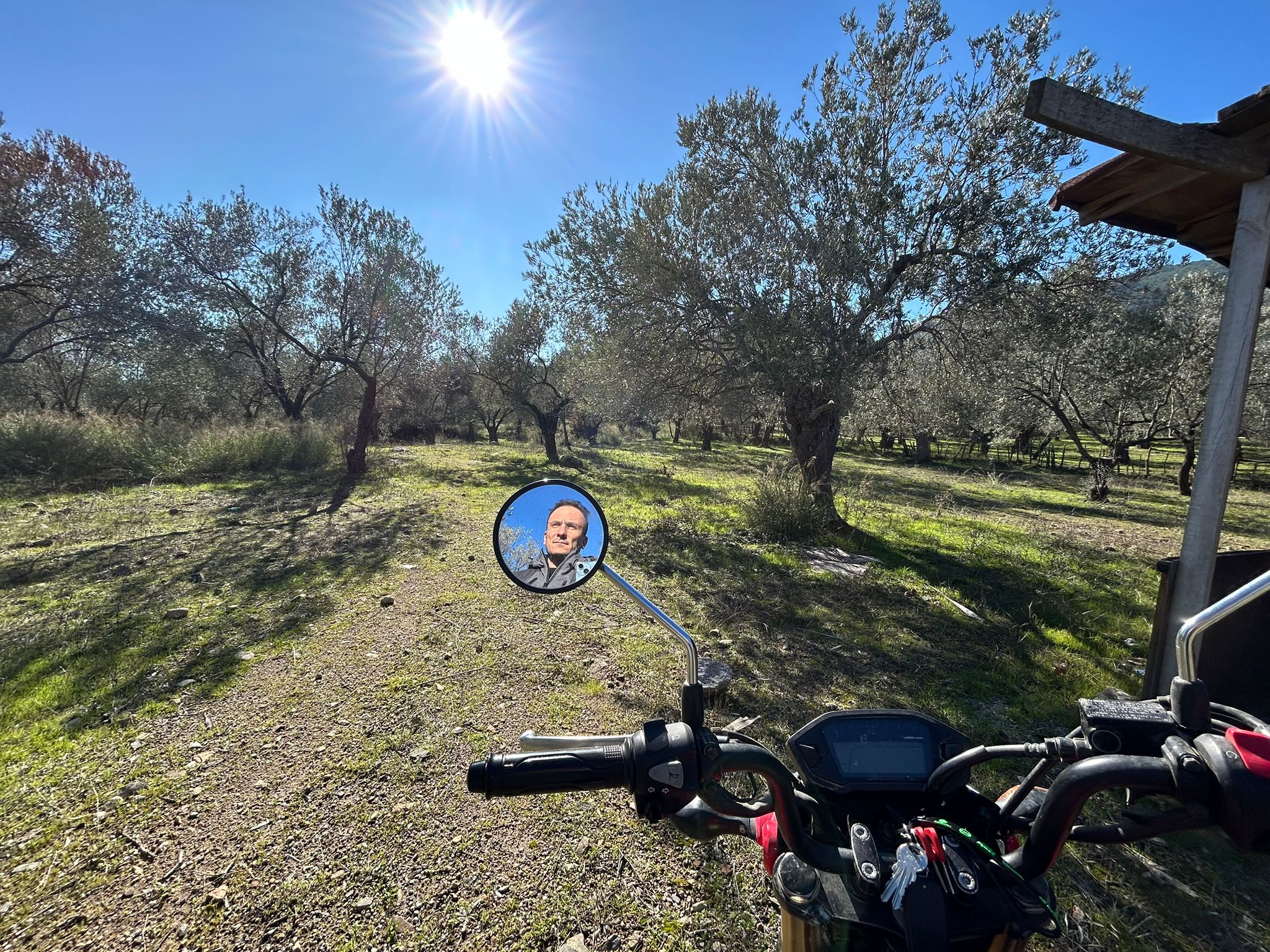 Dereli 'de Satılık 3659 M2 Müstakil Tapulu Zeytinlik