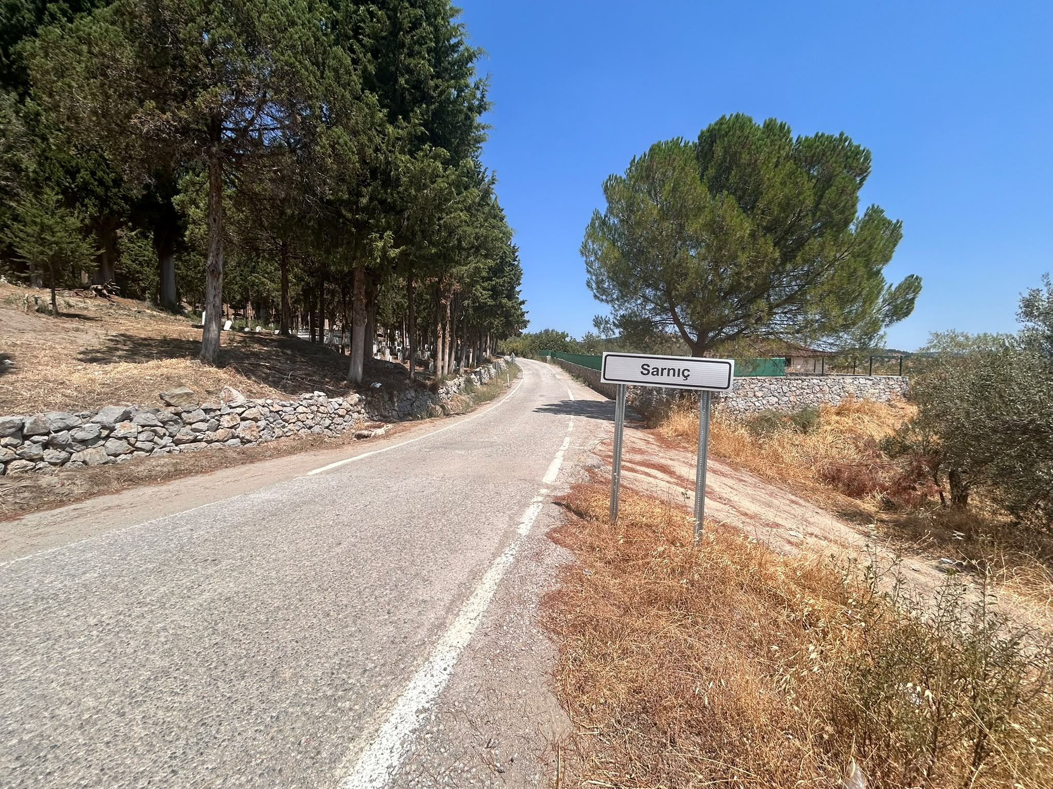 BALIKESİR HAVRAN SARNIÇ MAHALLESİNDE SATILIK ZEYTİNLİK