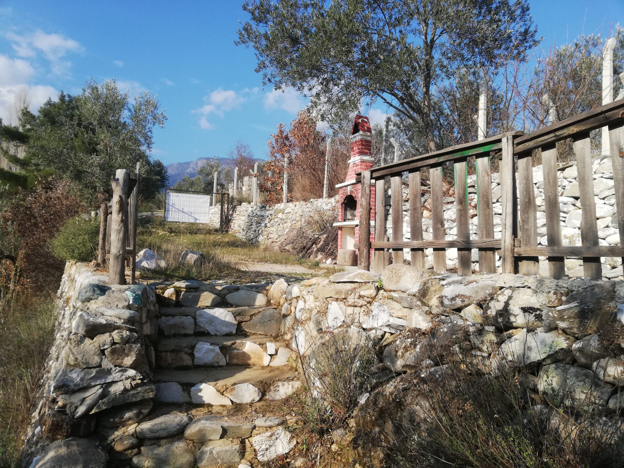 Kızılkeçili 'de Satılık 3 Dönüm Harika Zeytinlik