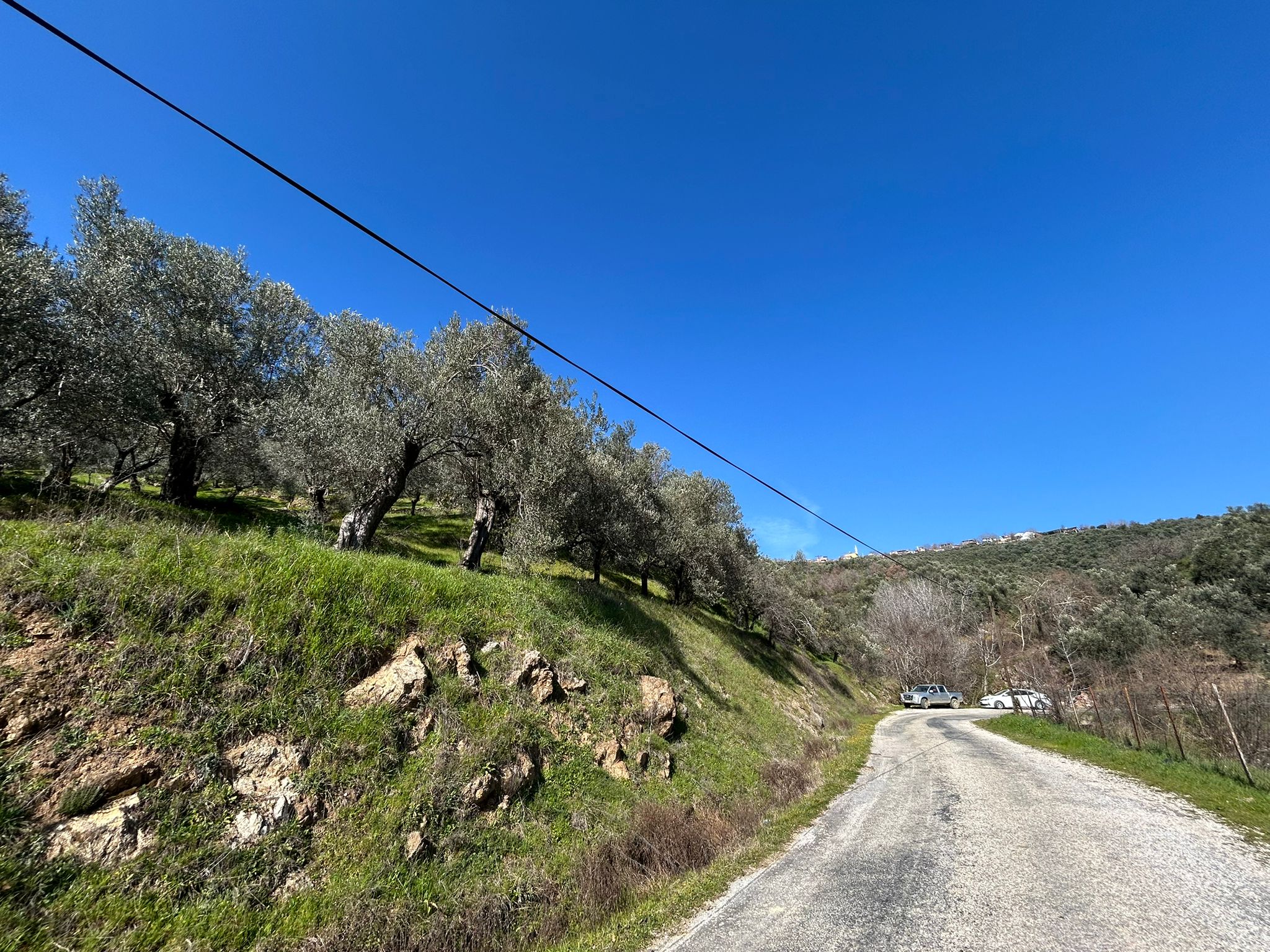 ÇANAKKALE AYVACIK ADATEPE'DE 16.580 m² DENİZ MANZARALI SATILIK ZEYTİNLİK