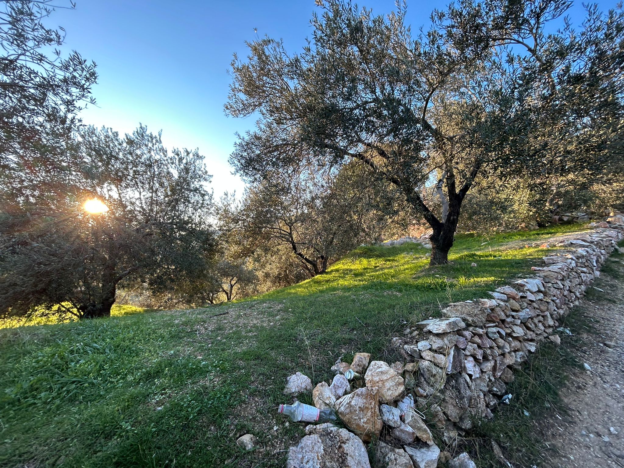 Arıtaşı 'nda Harika Konum Deniz Manzaralı 4,6 Dönüm Zeytinlik