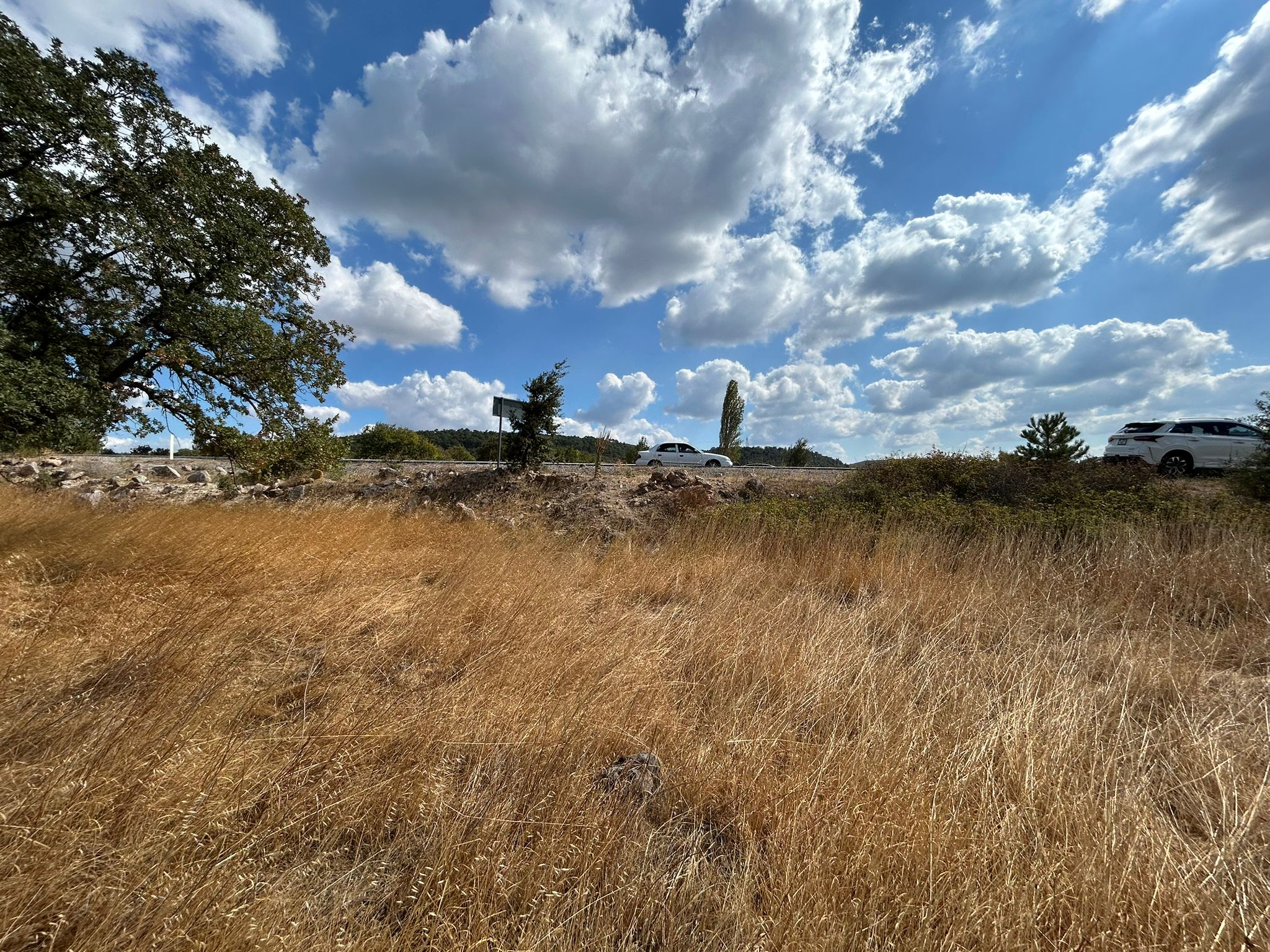 Edremit Balıkesir Ana Asfalt Yola 150 M Cephe Satılık 5 Dönüm Tarla