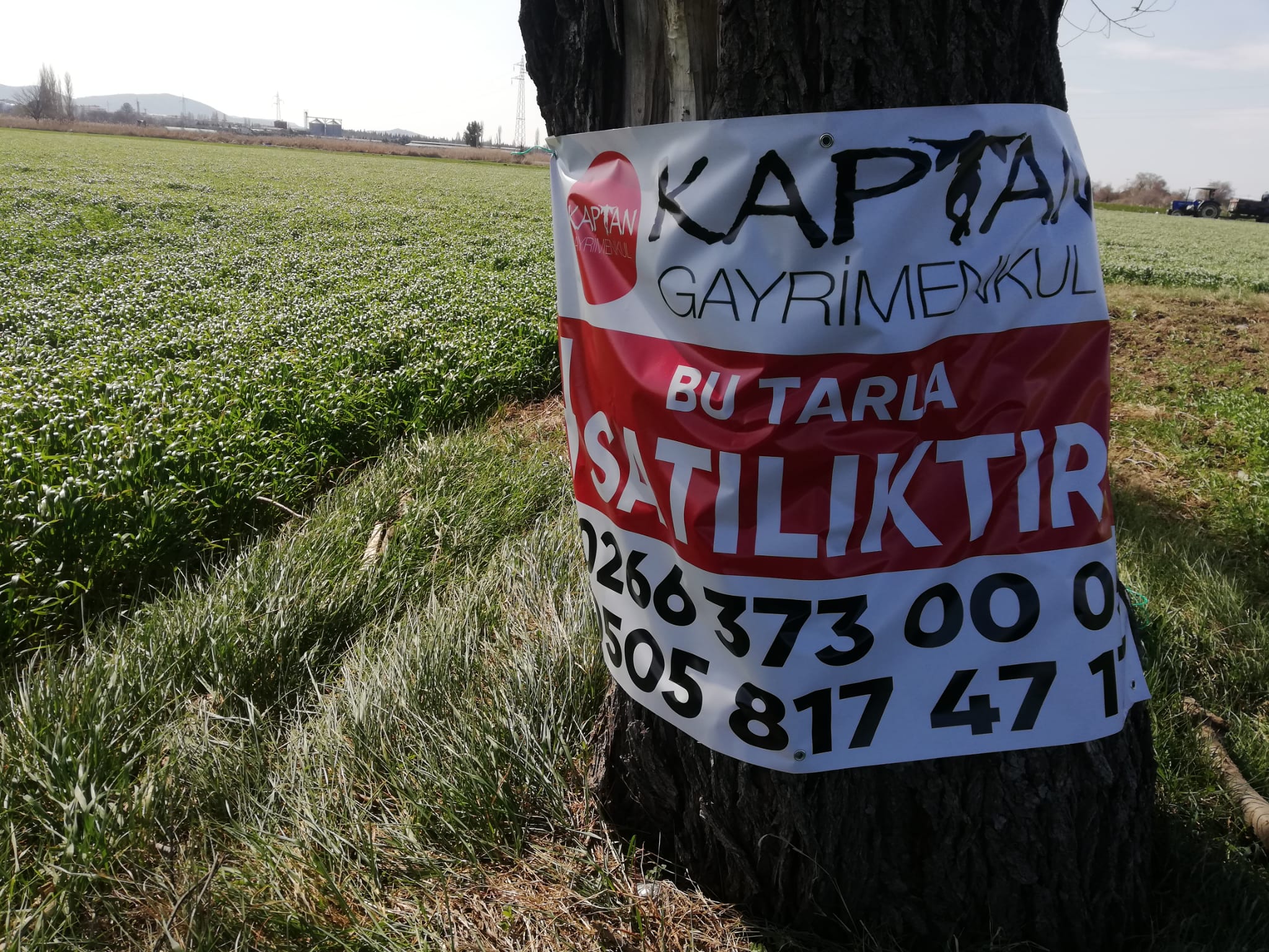 Geriş'te 15 Dönüm Satılık Tarla