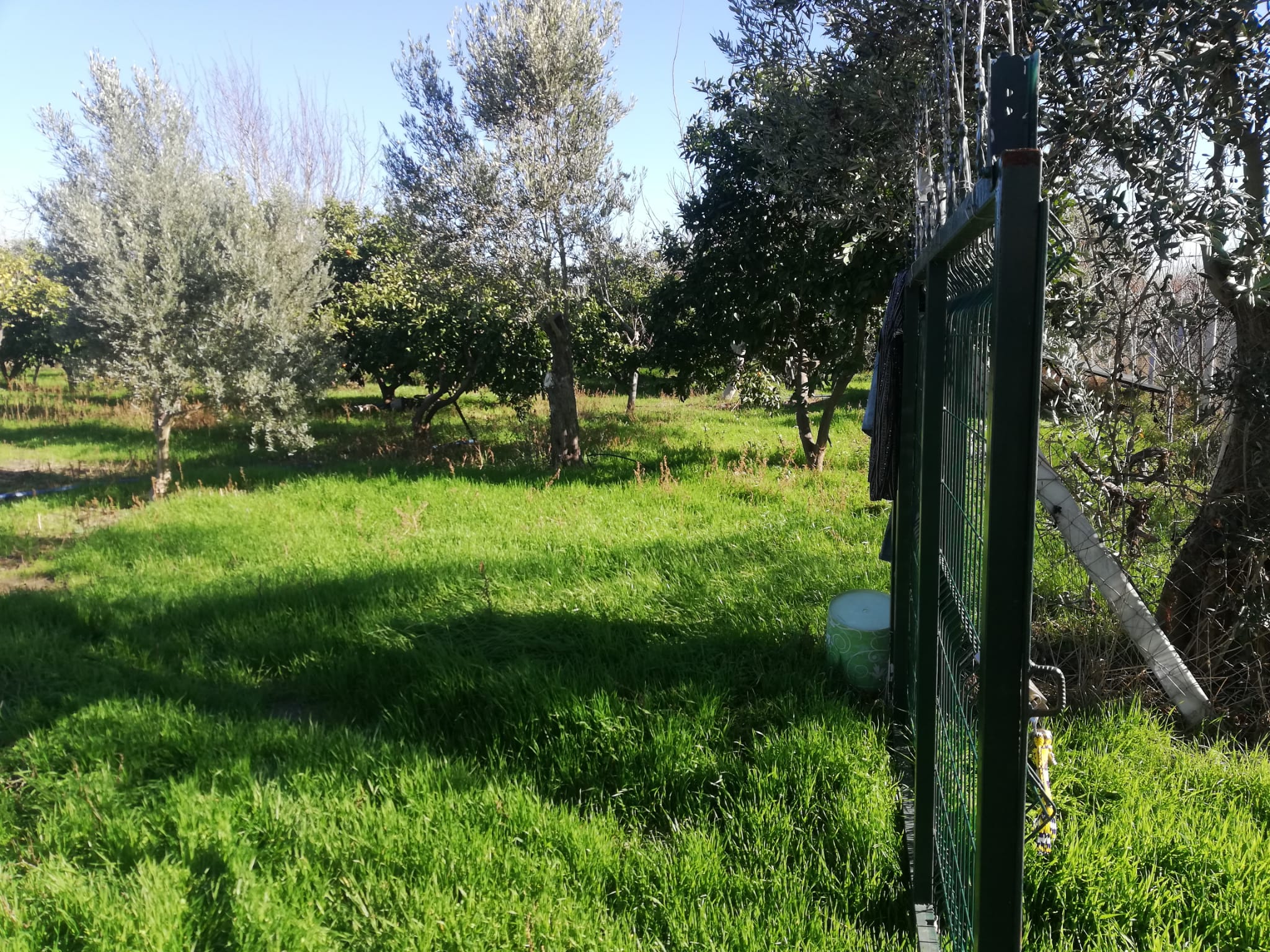 Tekke 'de 2 Dönümlük Hobi Bahçesi