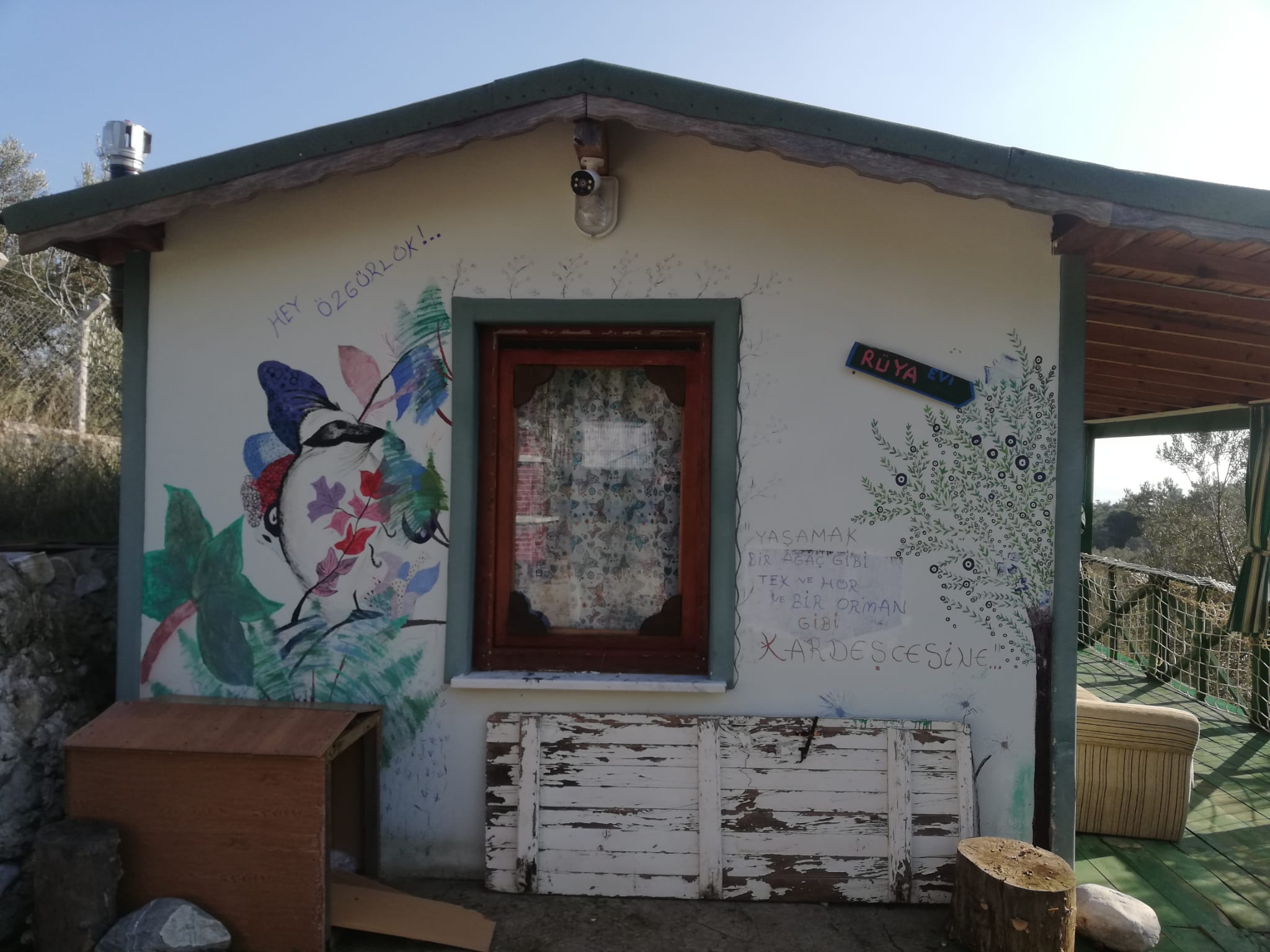 Kızılkeçili 'de Satılık 3 Dönüm Harika Zeytinlik