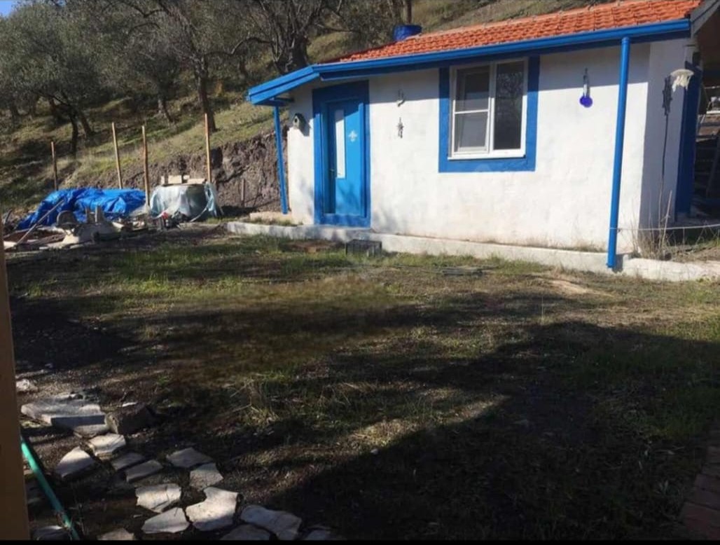 Narlı Mahallesi’nde Yatırımlık Zeytinlik | Ev + Havuz + Yol Sorunsuz