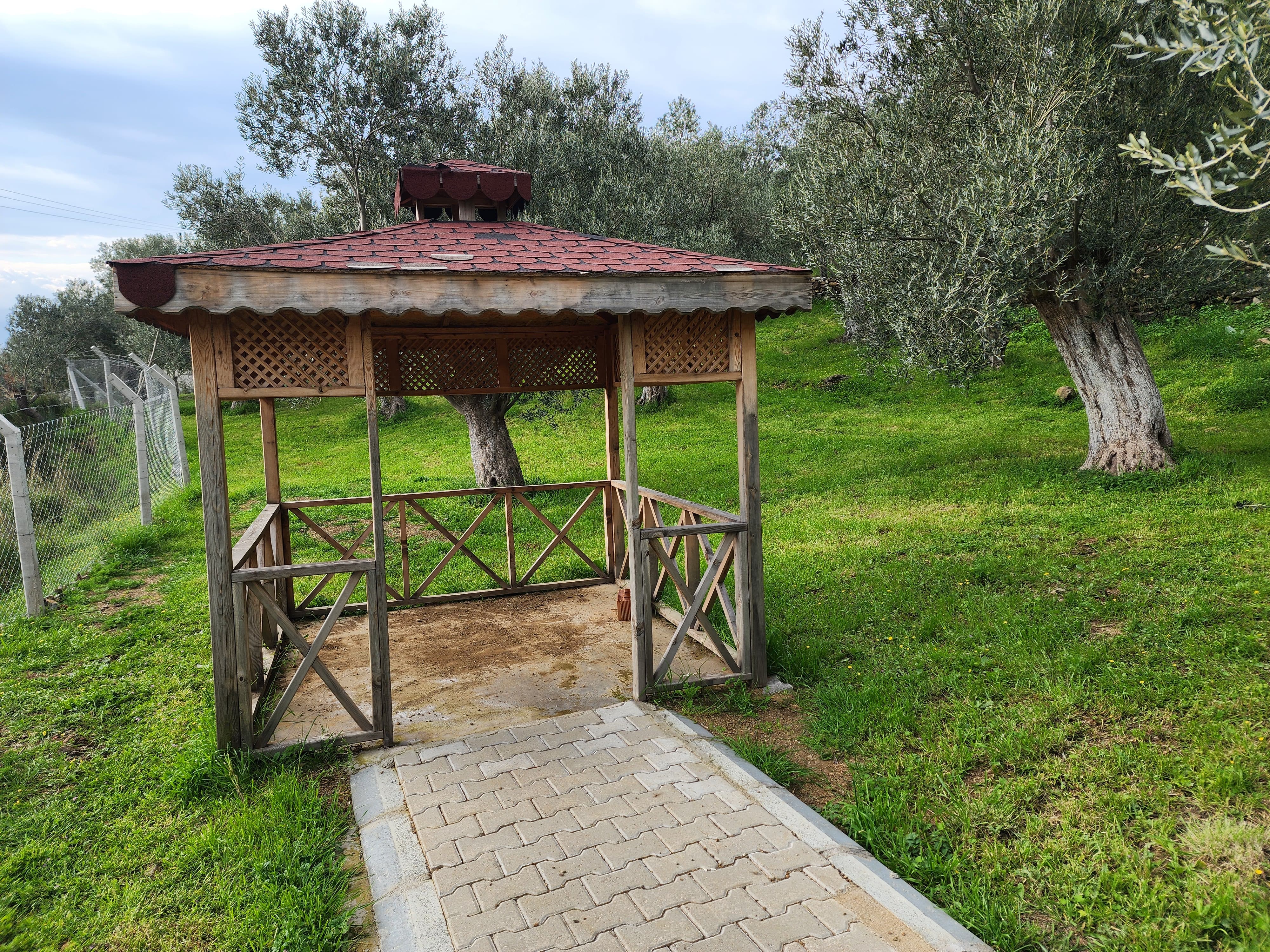 ZEYTİNLİ DE İÇİNDE EVİ OLAN SUYU VE ELEKTRİĞİ BULUNAN SATILIK ZEYTİNLİK