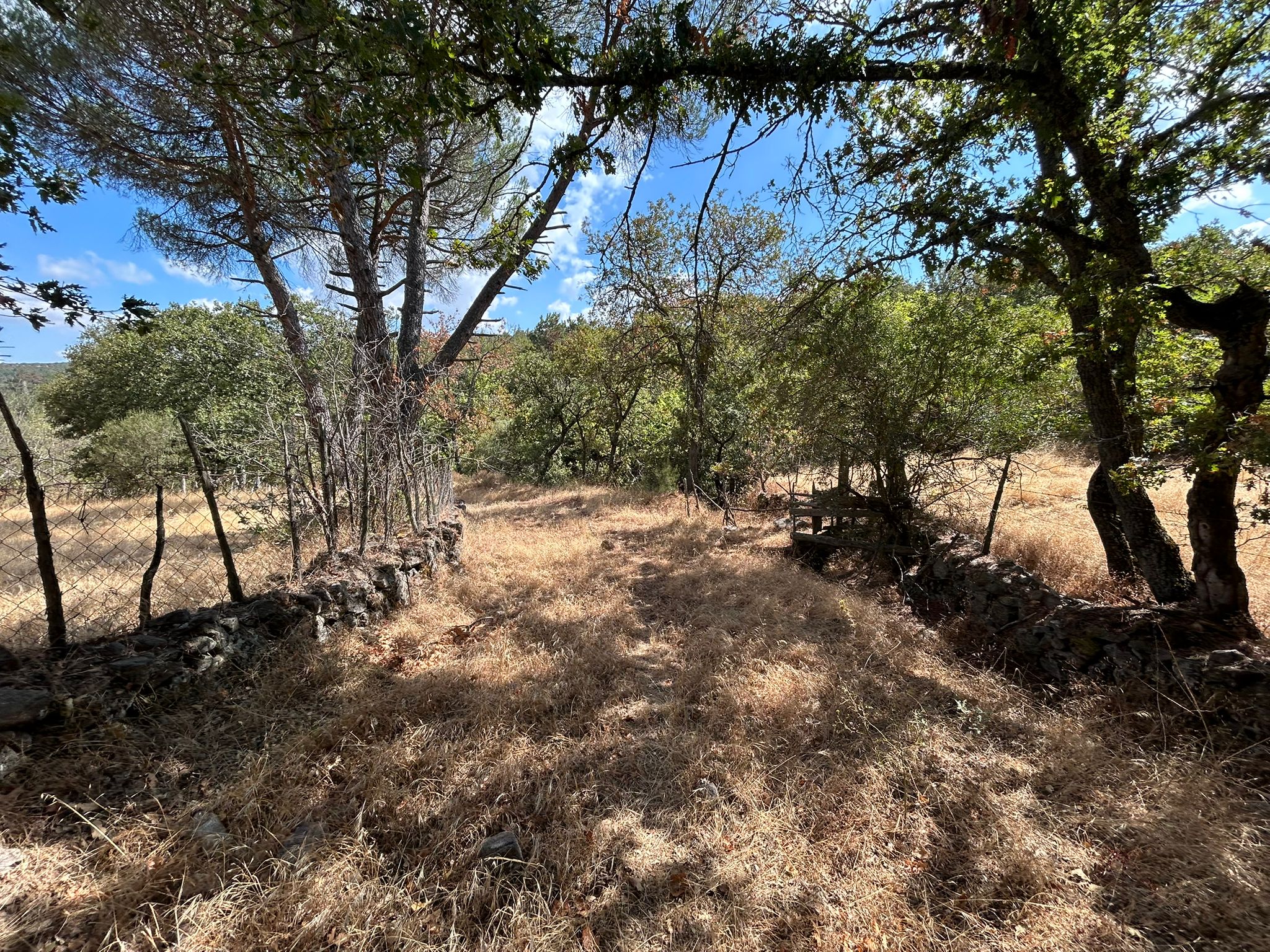 KÜÇÜKŞAPÇIDA SATILIK 3.3 DÖNÜM TARLA