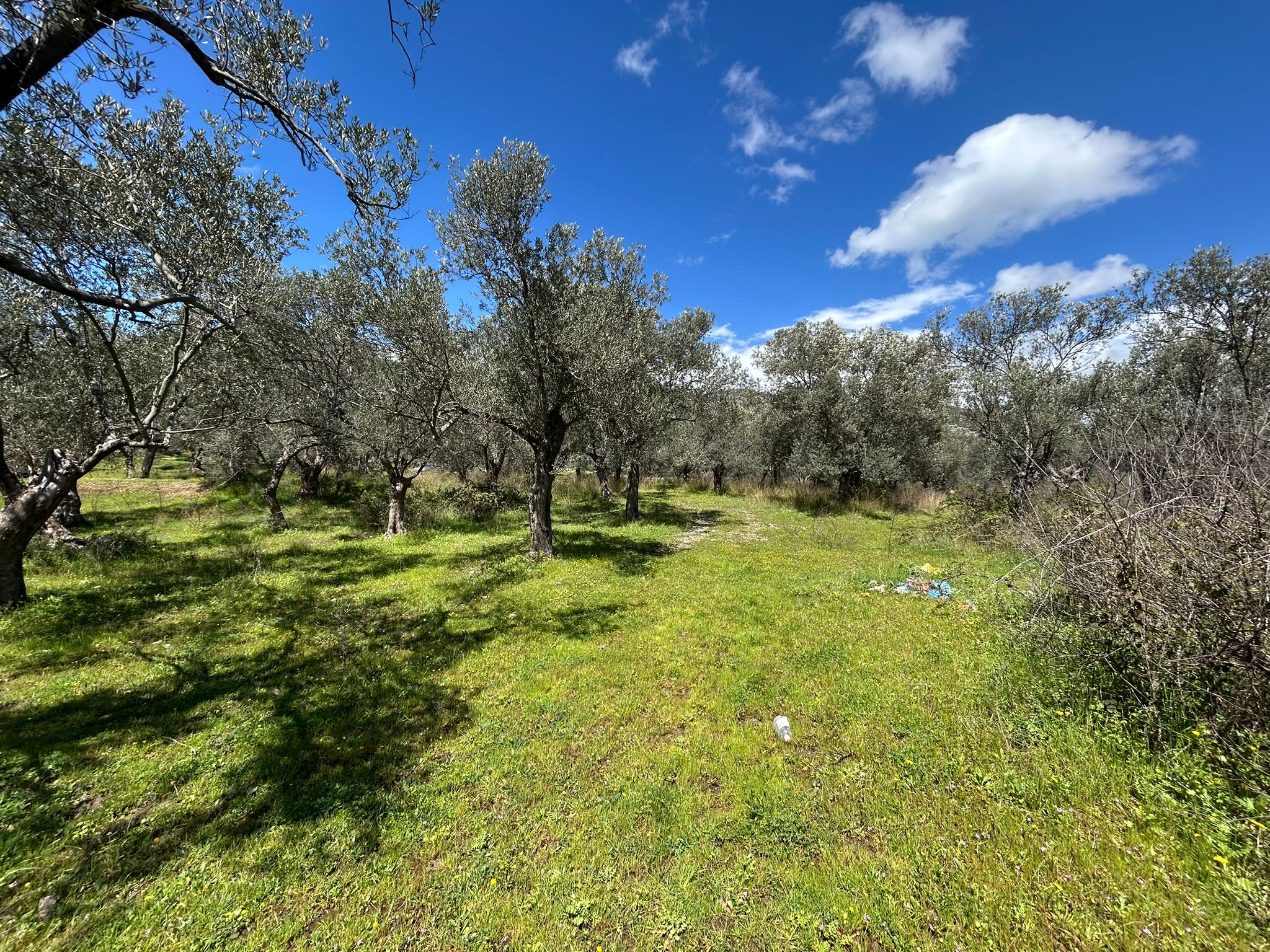 Doğa ile iç içe, yatırım değeri yüksek SATILIK ARSA