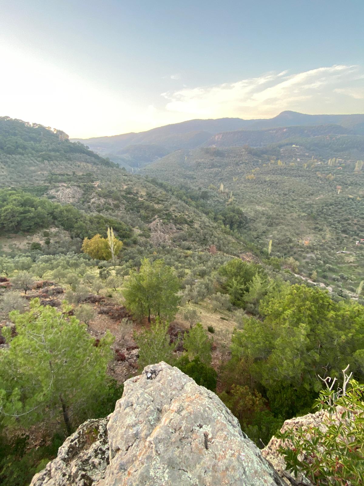 BALIKESİR EDREMİT ALTINOLUK’TA DENİZ MANZARALI 34 DÖNÜM SATILIK 2B ARAZİSİ