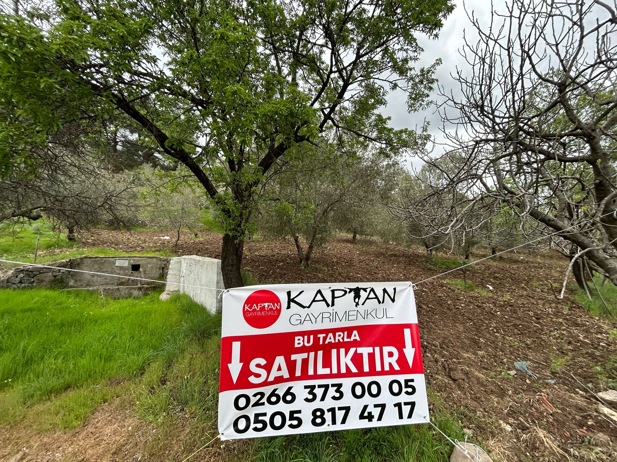 Balıkesir Edremit Karayoluna Cepheli 4 Dönüm Tarla