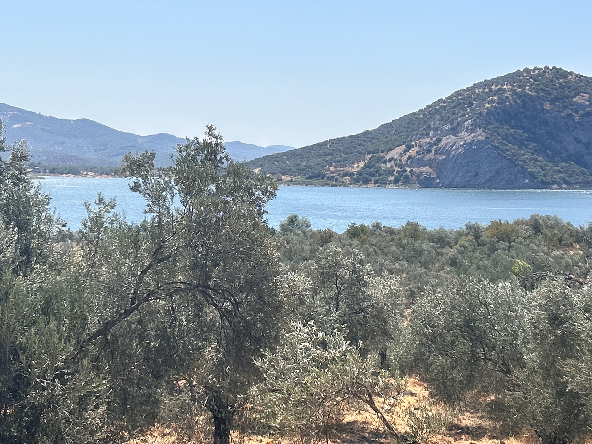 HAVRAN SARNIÇ’TA FULL GÖL MANZARALI SATILIK 3183 M2 ZEYTİNLİK