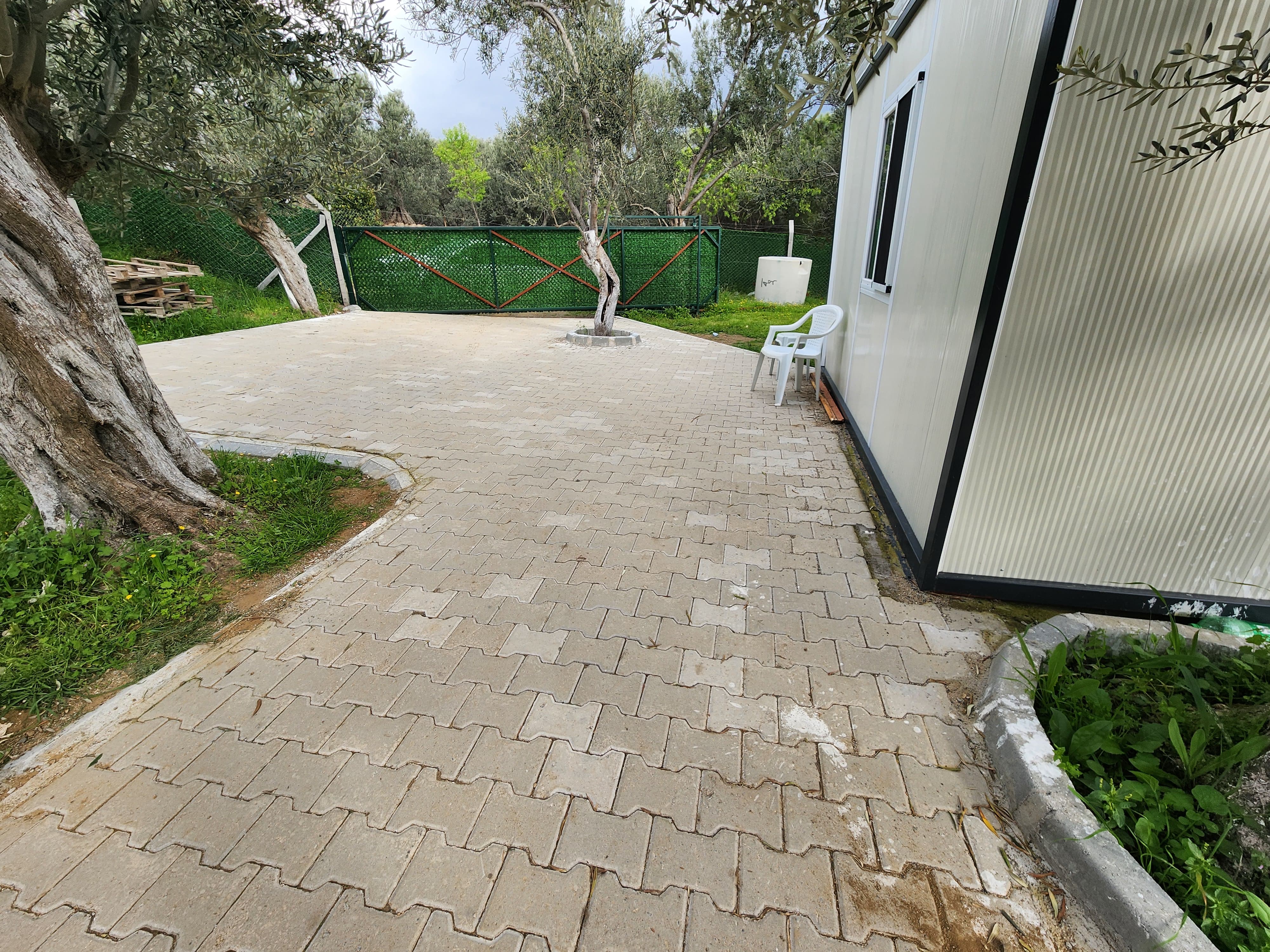 ZEYTİNLİ DE İÇİNDE EVİ OLAN SUYU VE ELEKTRİĞİ BULUNAN SATILIK ZEYTİNLİK