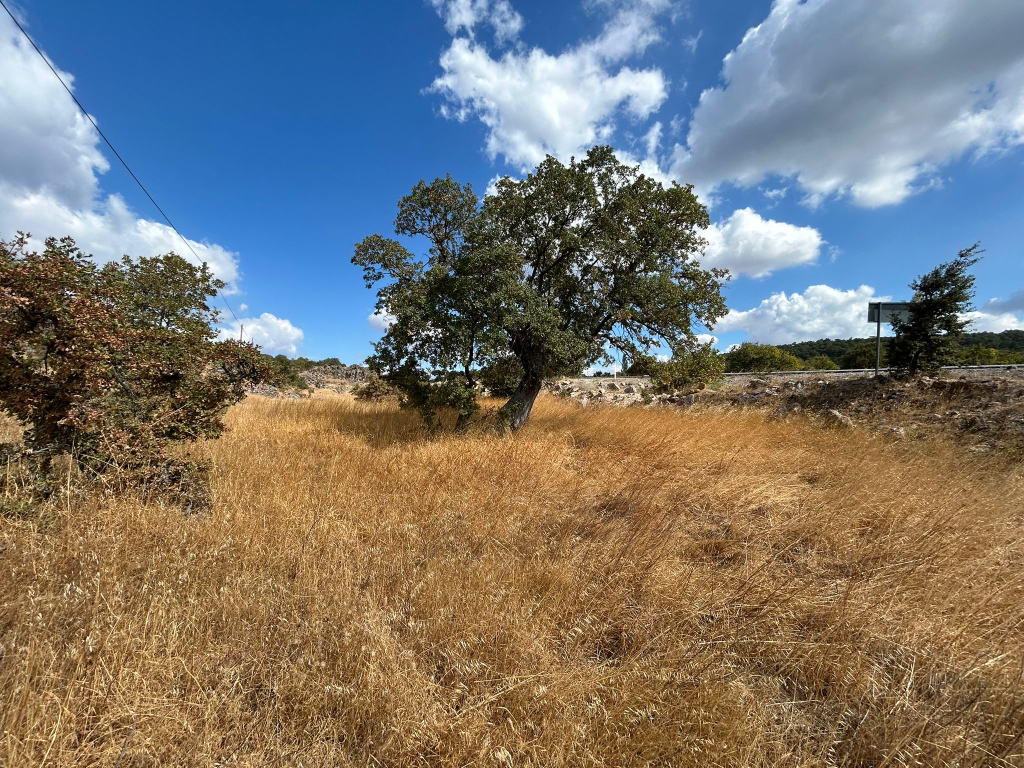 Edremit Balıkesir Ana Asfalt Yola 150 M Cephe Satılık 5 Dönüm Tarla