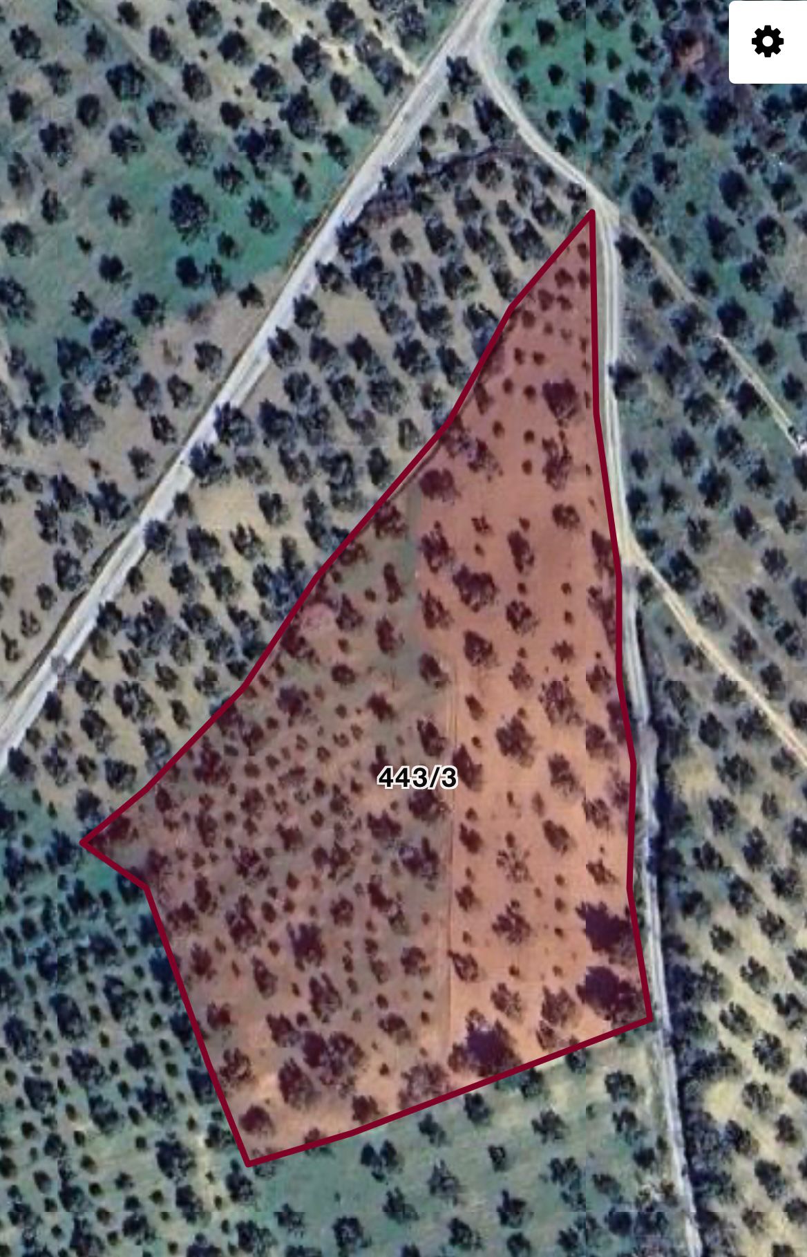 Balıkesir Burhaniye Şarköy’de Satılık Hisseli Zeytinlik – Kadastro Yola Cepheli