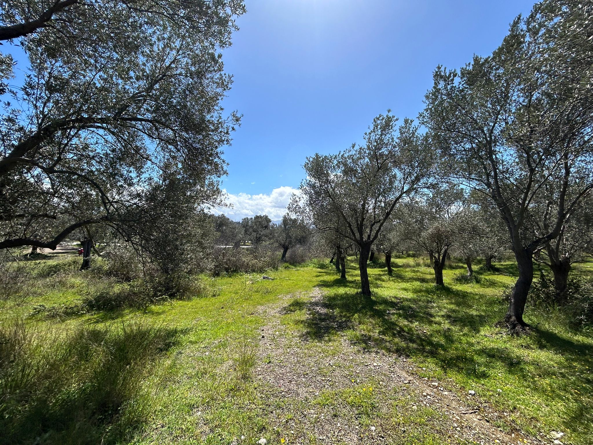 Doğa ile iç içe, yatırım değeri yüksek SATILIK ARSA