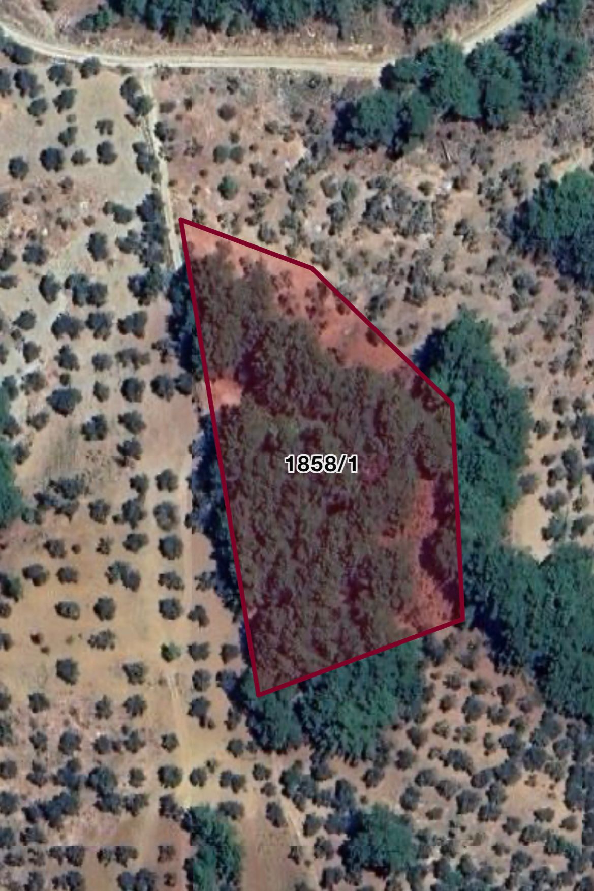 Balıkesir Edremit Altınoluk Mahallesi’nde, doğayla iç içe eşsiz bir yatırım fırsatı!