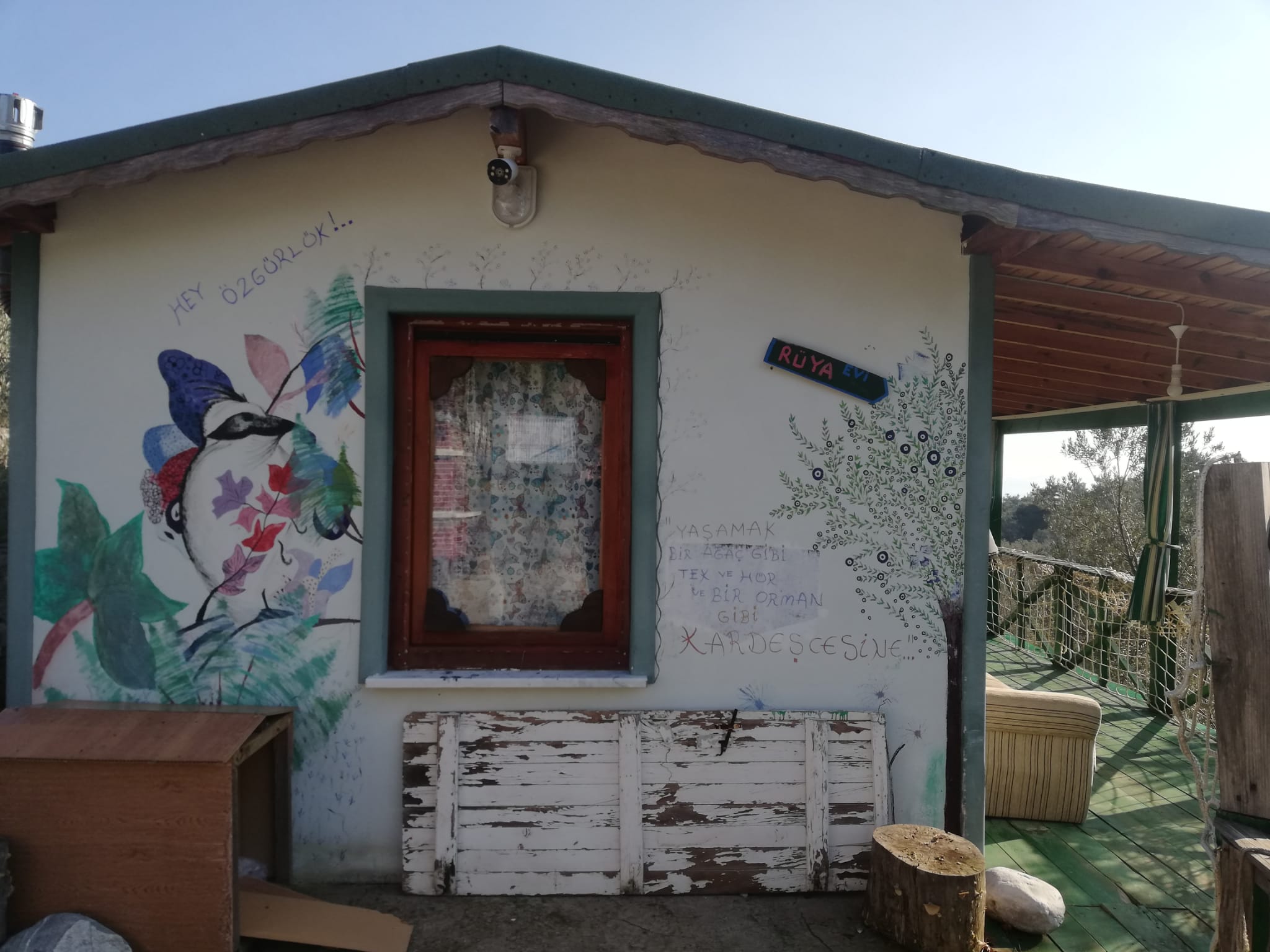 Kızılkeçili 'de Satılık 3 Dönüm Harika Zeytinlik