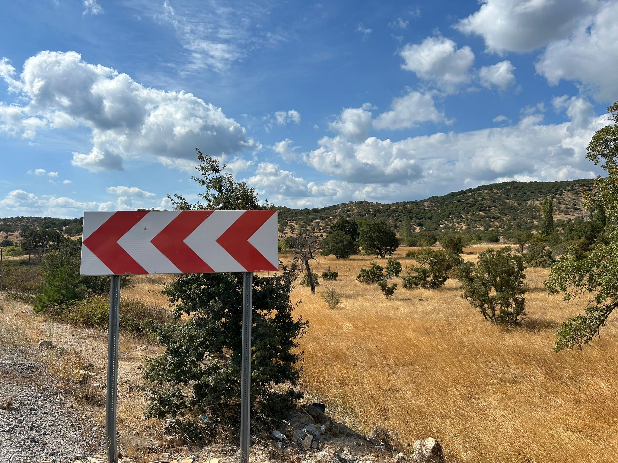 Edremit Balıkesir Ana Asfalt Yola 150 M Cephe Satılık 5 Dönüm Tarla