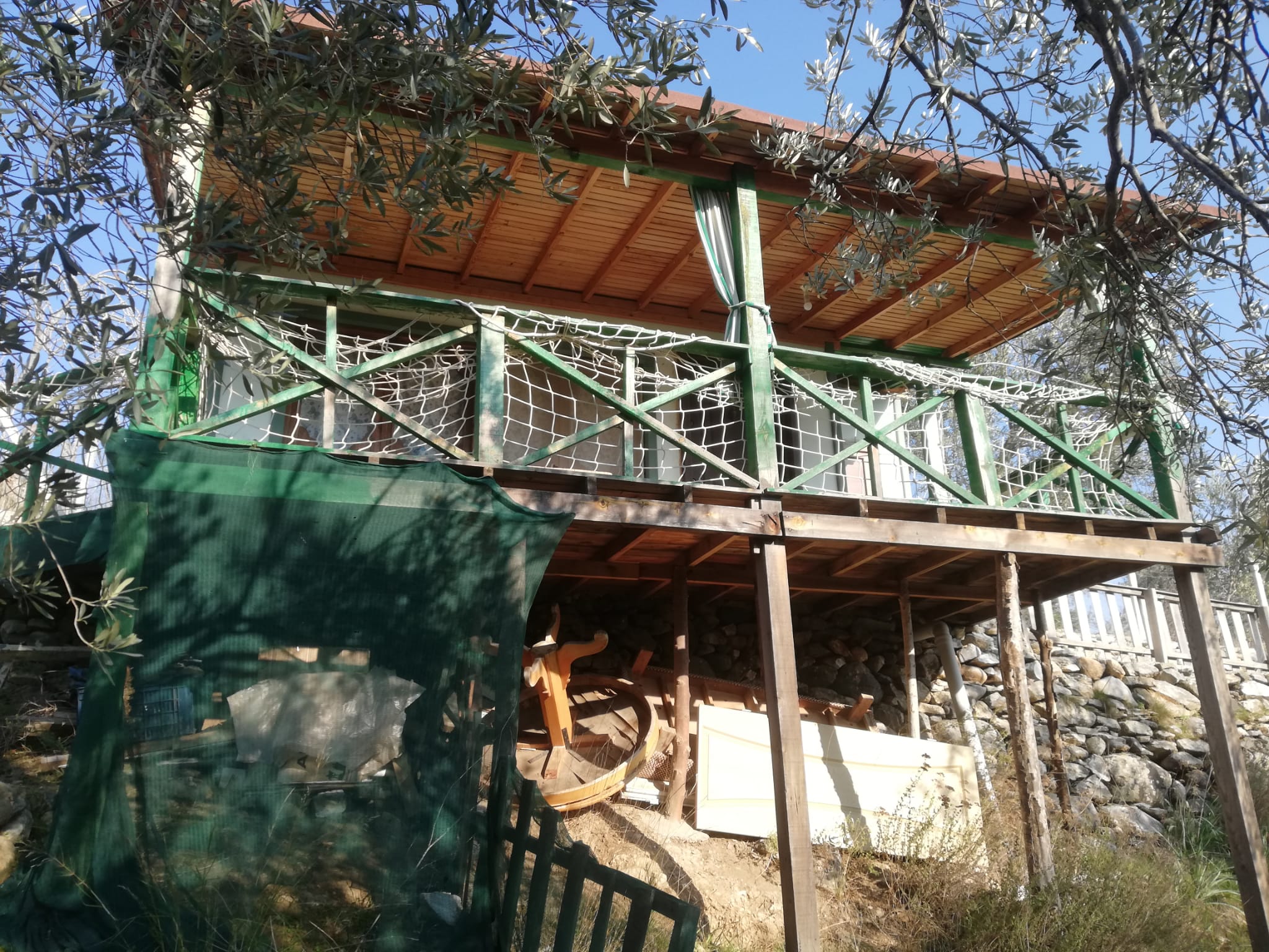 Kızılkeçili 'de Satılık 3 Dönüm Harika Zeytinlik