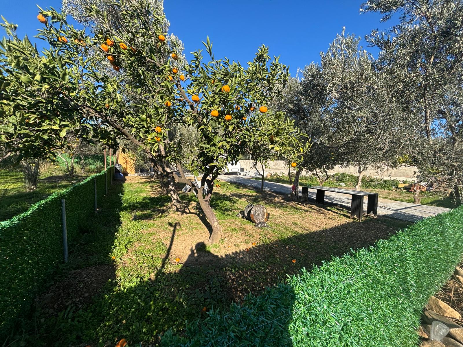 BALIKESİR EDREMİT KIZILKEÇİLİ’DE SATILIK 440 m² HOBİ BAHÇESİ