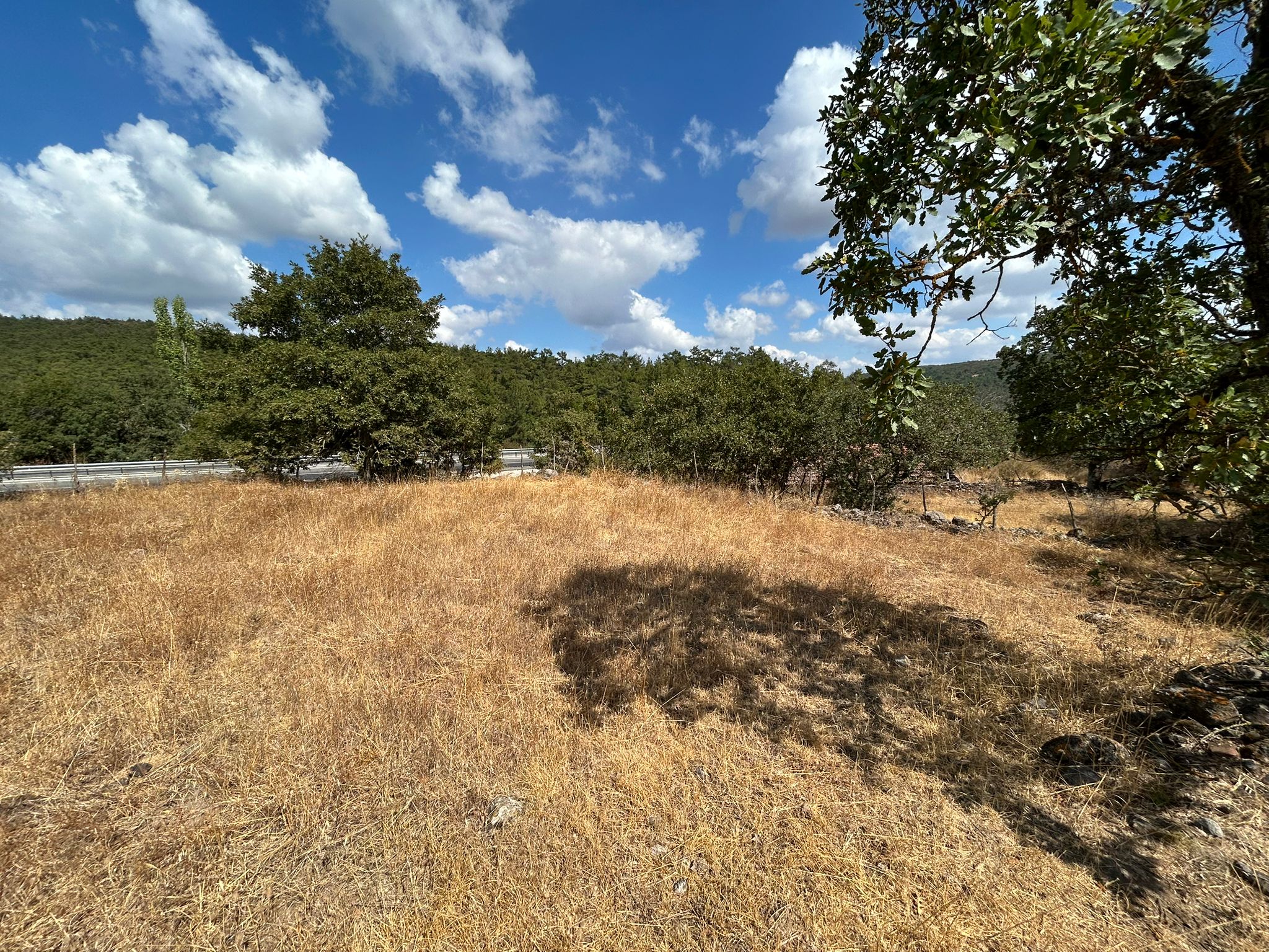 KÜÇÜKŞAPÇIDA SATILIK 3.3 DÖNÜM TARLA