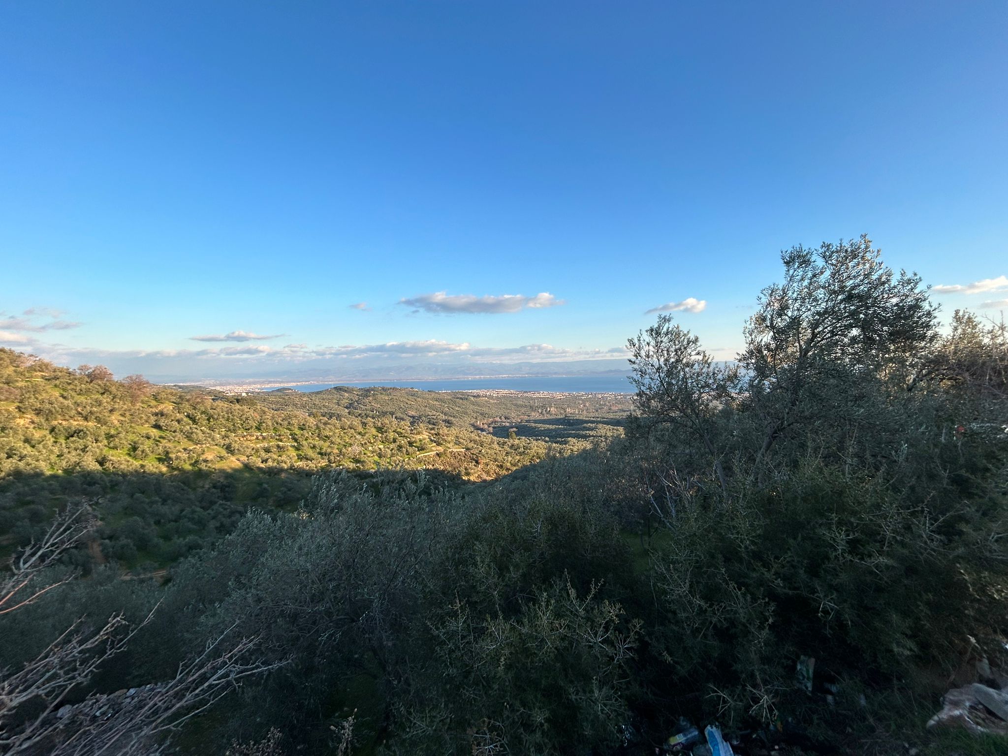 Arıtaşı 'nda Harika Konum Deniz Manzaralı 4,6 Dönüm Zeytinlik