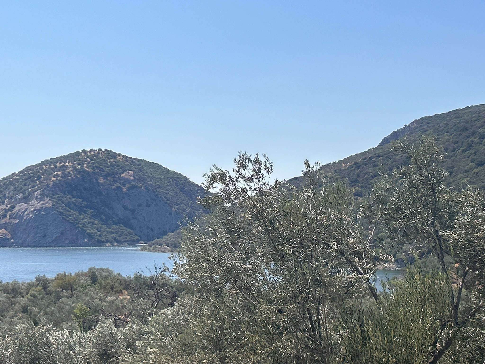 HAVRAN SARNIÇ’TA FULL GÖL MANZARALI SATILIK 3183 M2 ZEYTİNLİK