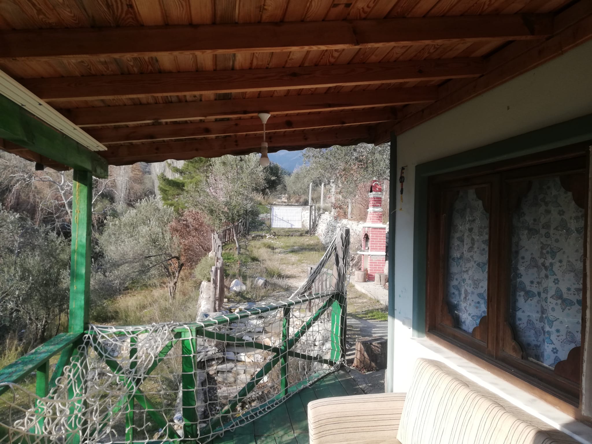 Kızılkeçili 'de Satılık 3 Dönüm Harika Zeytinlik