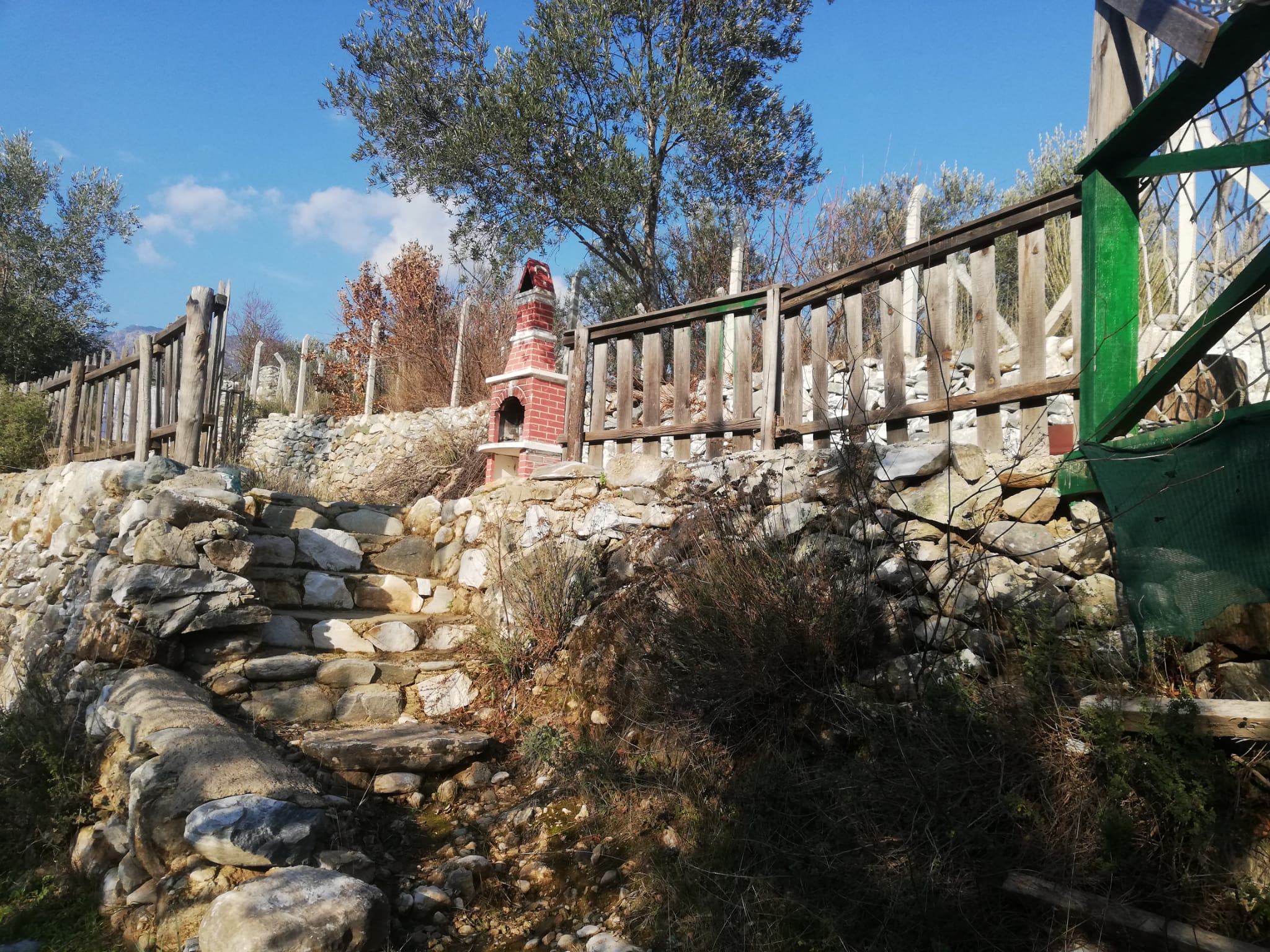 Kızılkeçili 'de Satılık 3 Dönüm Harika Zeytinlik